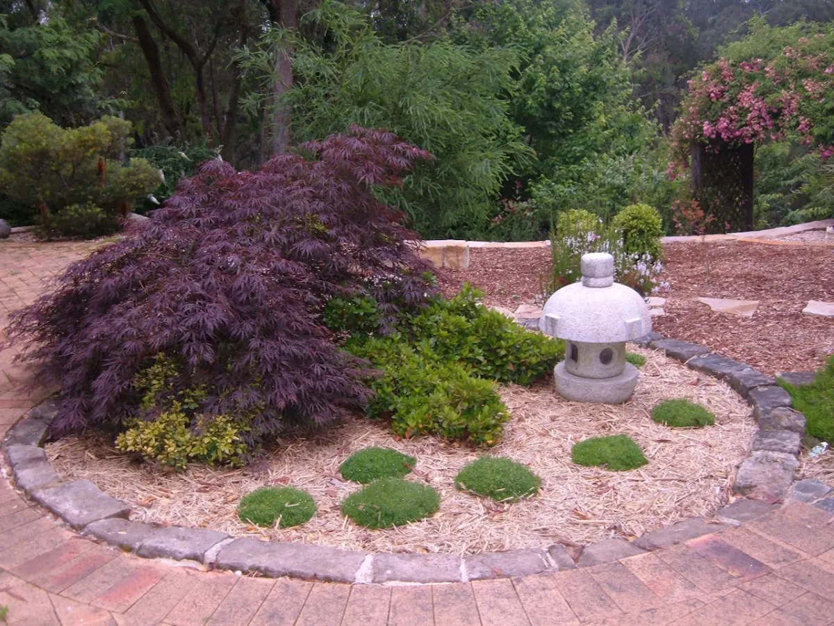 Sunday Creek, Katoomba - a breath of fresh air 20