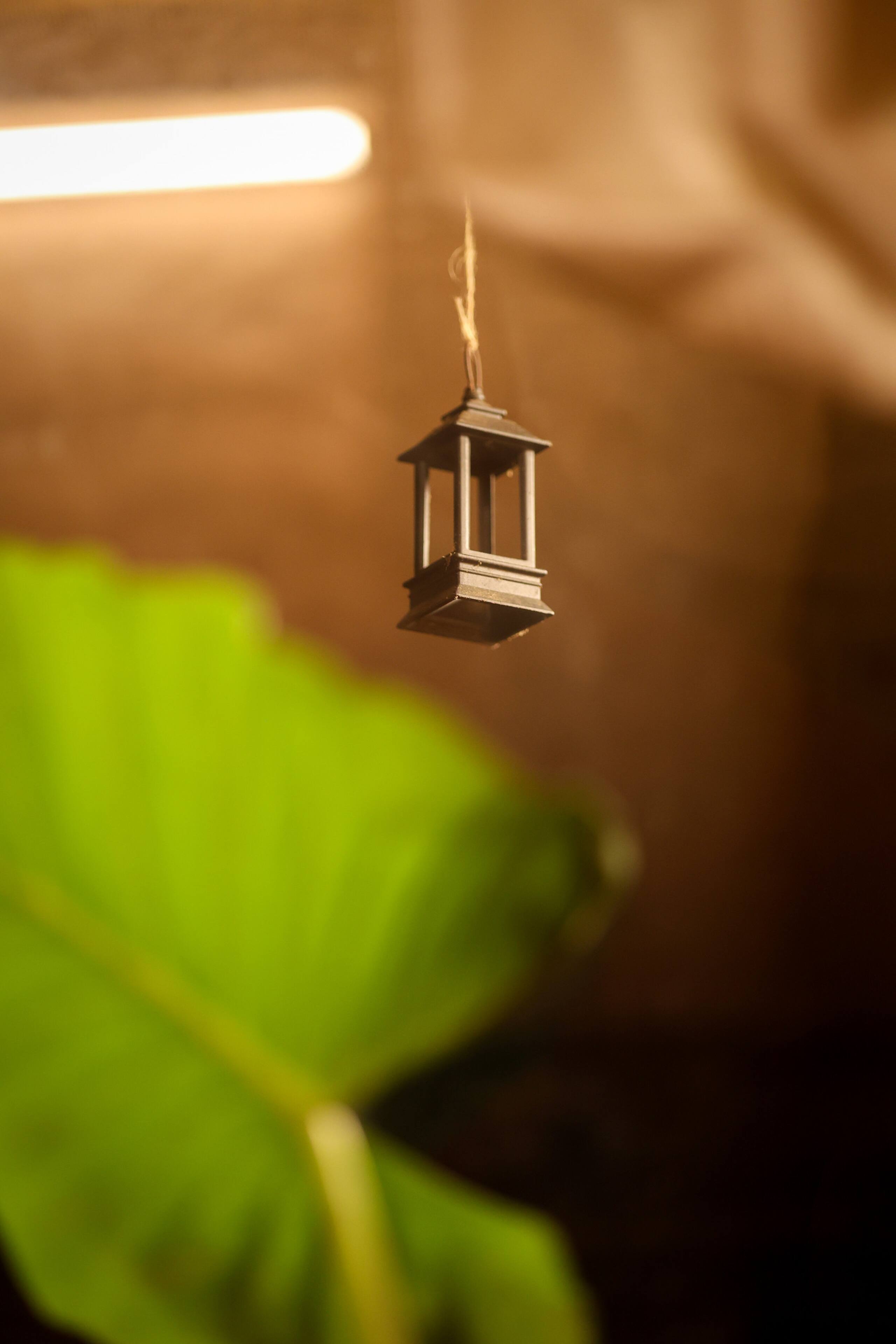 Parijatham Mudhouse | Valley Views and Firepit 31
