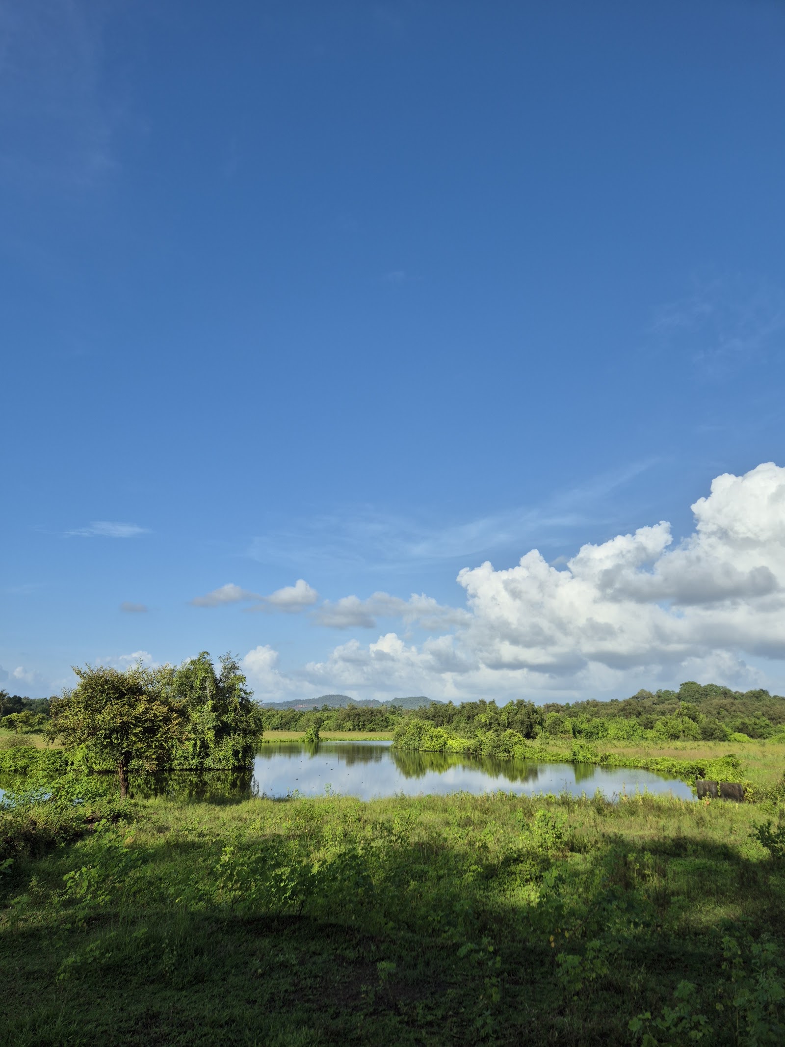 The Village Casa, Goa Backwaters Property — photo 3