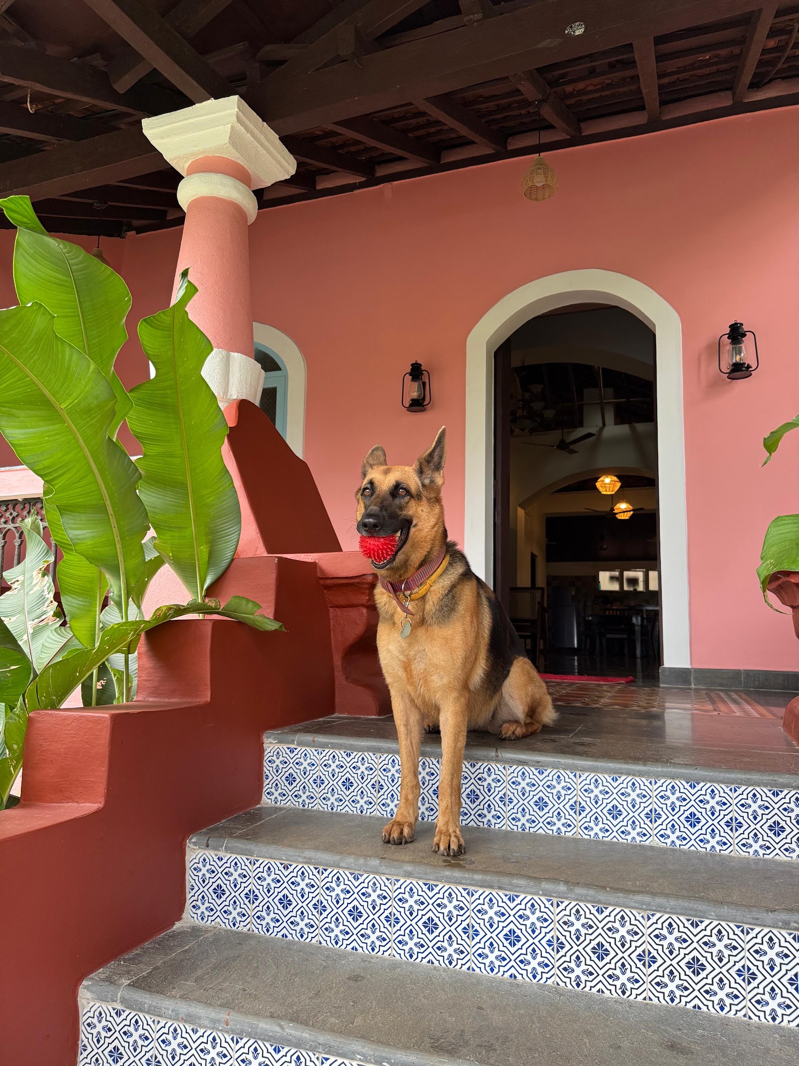 The Village Casa, Goa Backwaters Property 8