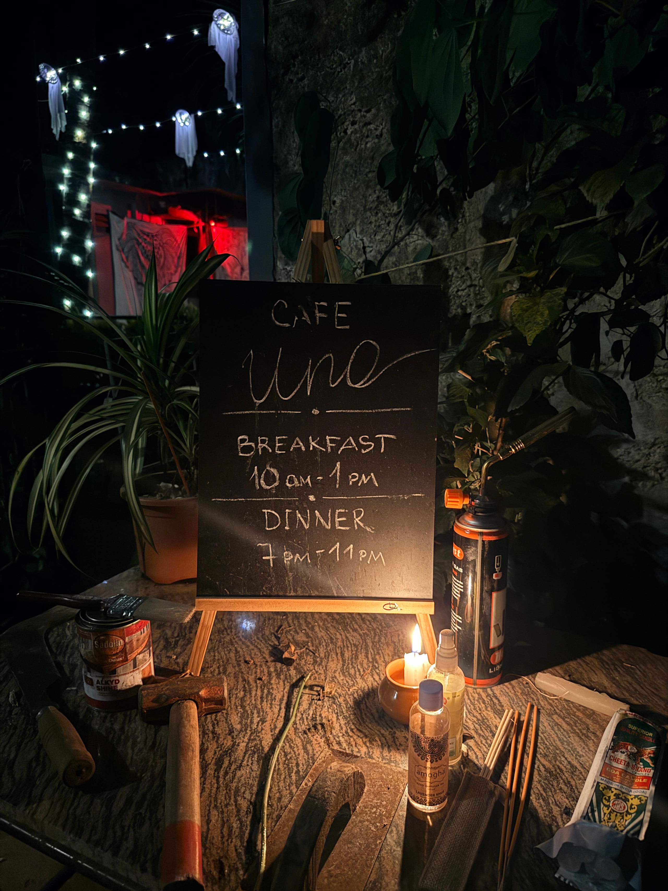 Shanti Garden • Eco Cottage Mandrem • Ananda 14