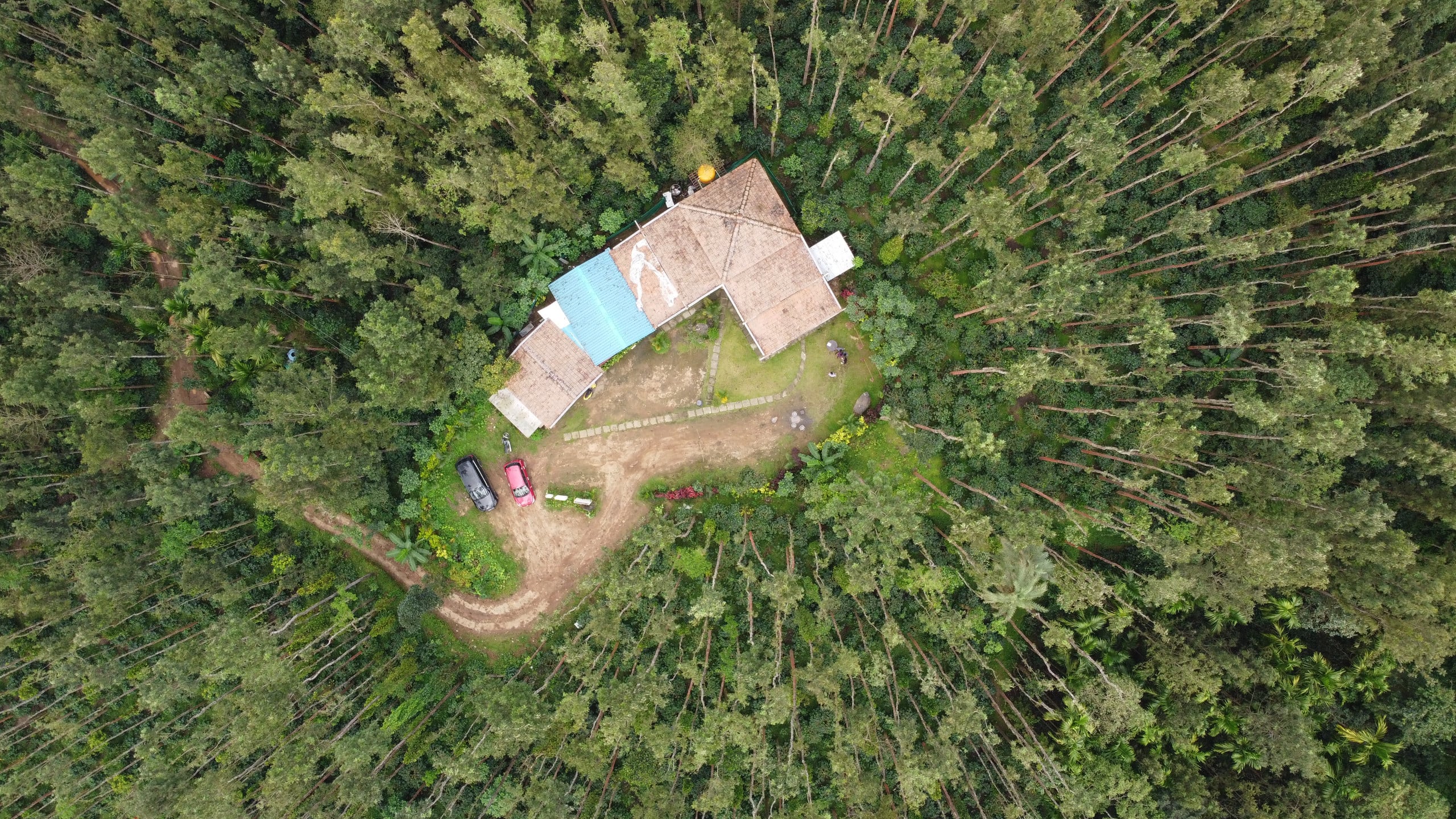 Bullock Cart Home Stay (Stay in the Forest) — photo 2