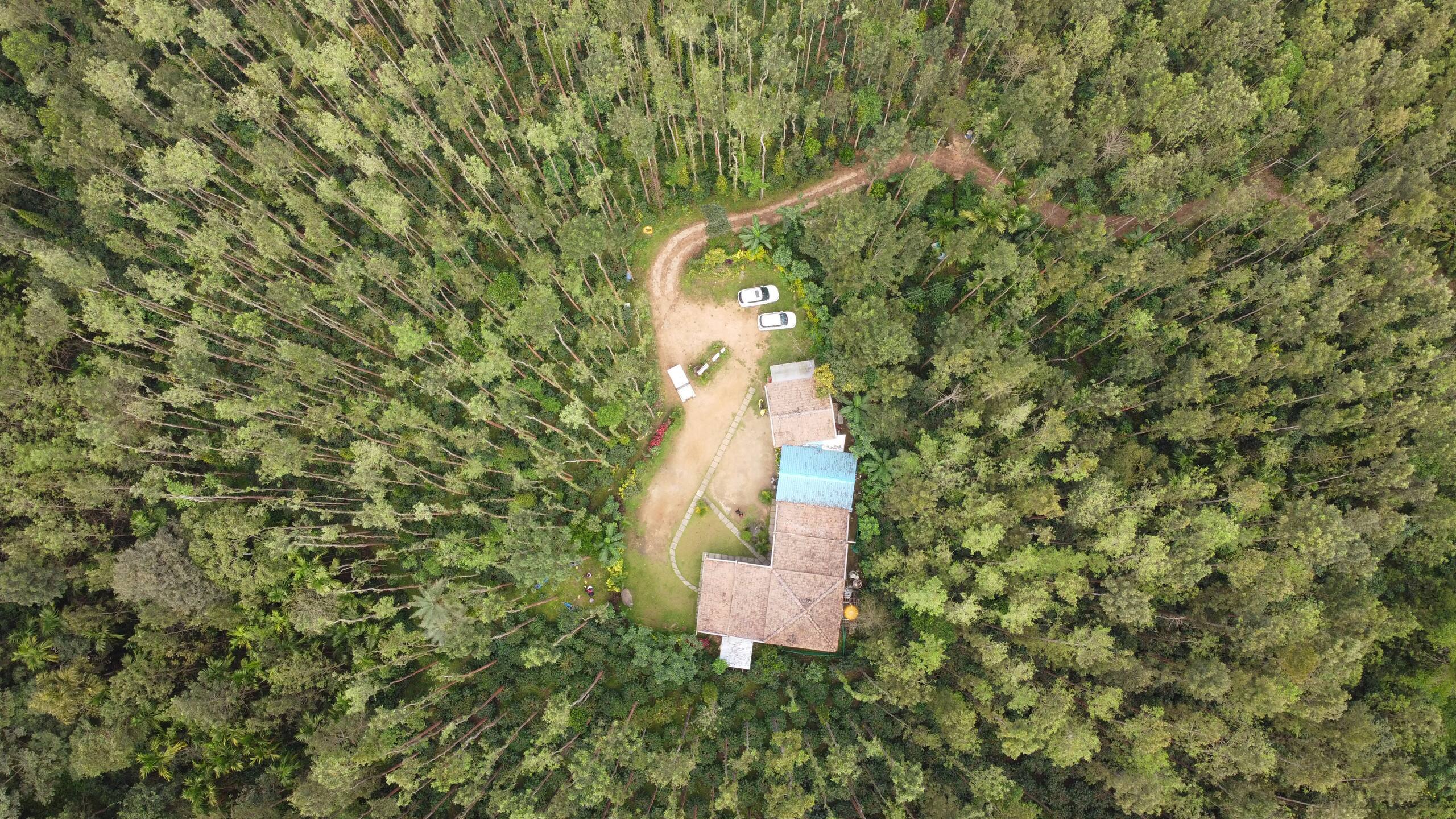 Bullock Cart Home Stay (Stay in the Forest) 1
