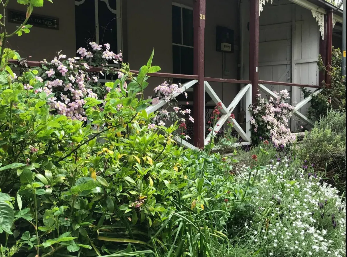 Larsen's Cottage #2: Historic 1880 Home 12