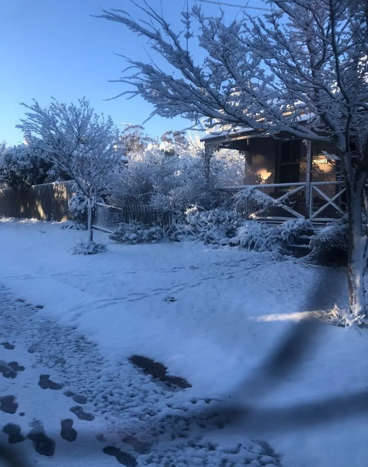 Larsen's Cottage #2: Historic 1880 Home 8