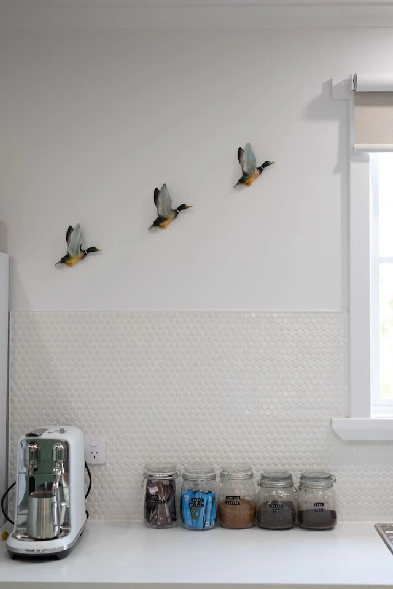 Lotti's Cottage - West Launceston 14