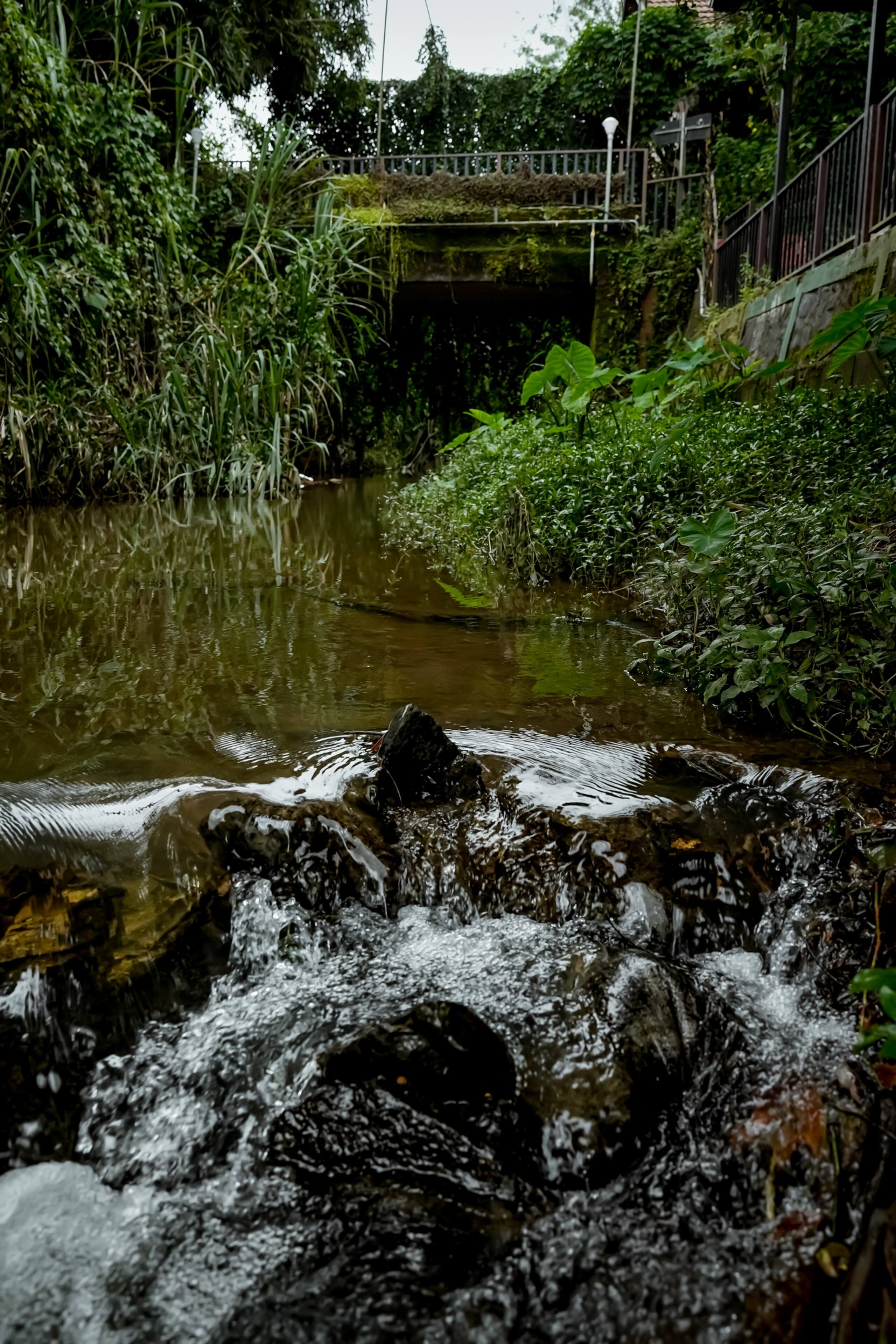 Woods Away Private Villa ~ Forestree Wayanad 40
