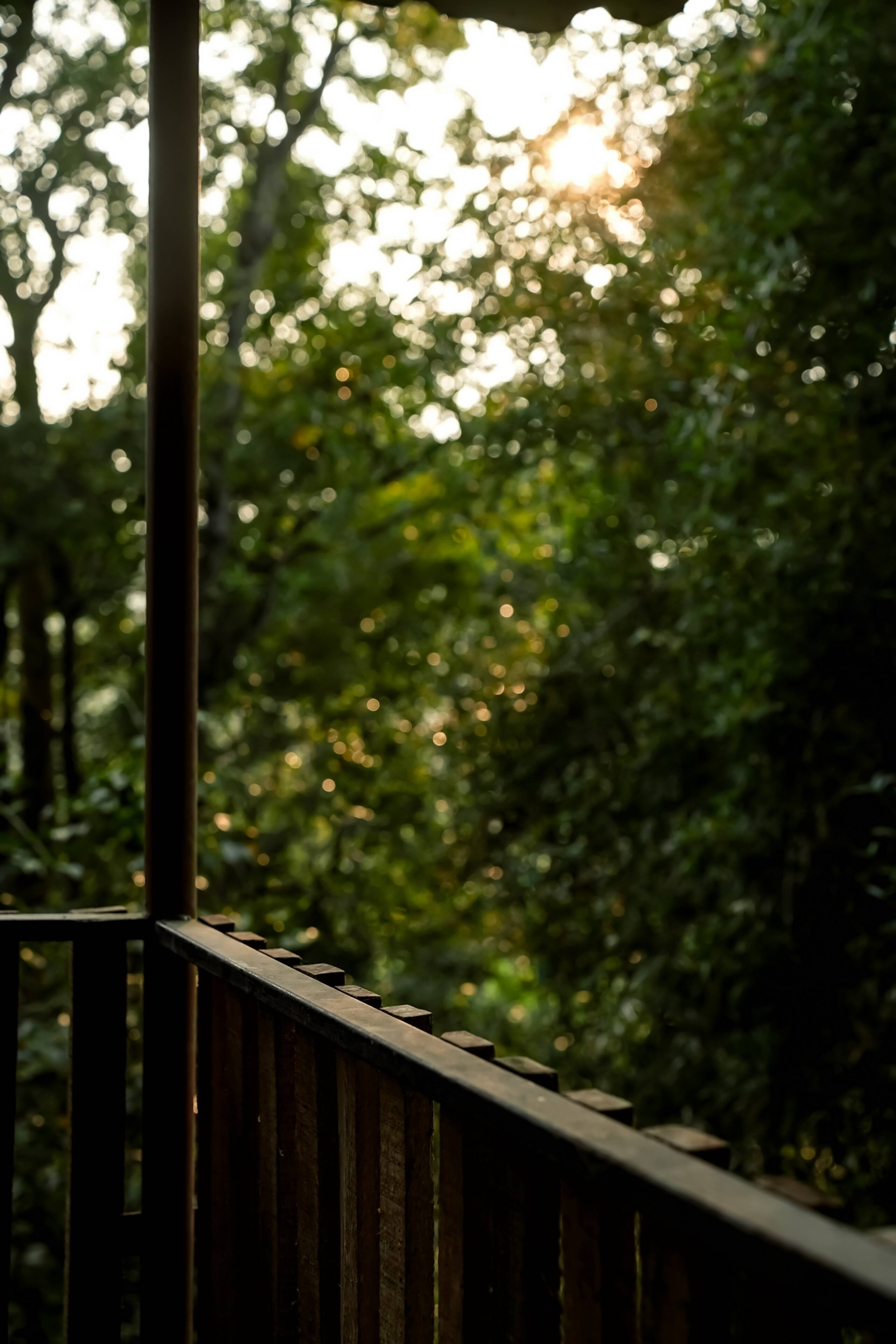 Woods Away Private Villa ~ Forestree Wayanad 23