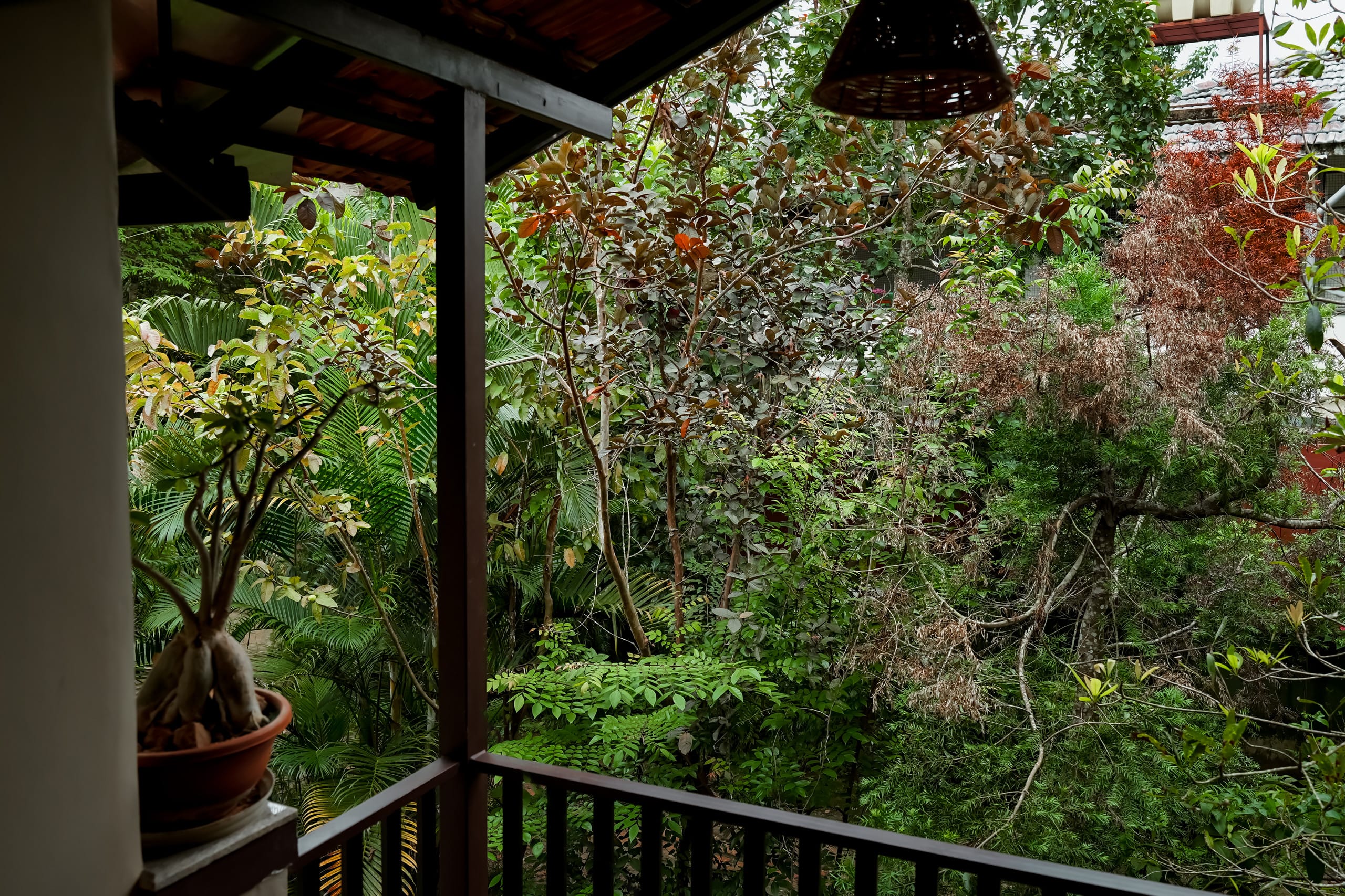 Woods Away Private Villa ~ Forestree Wayanad 19