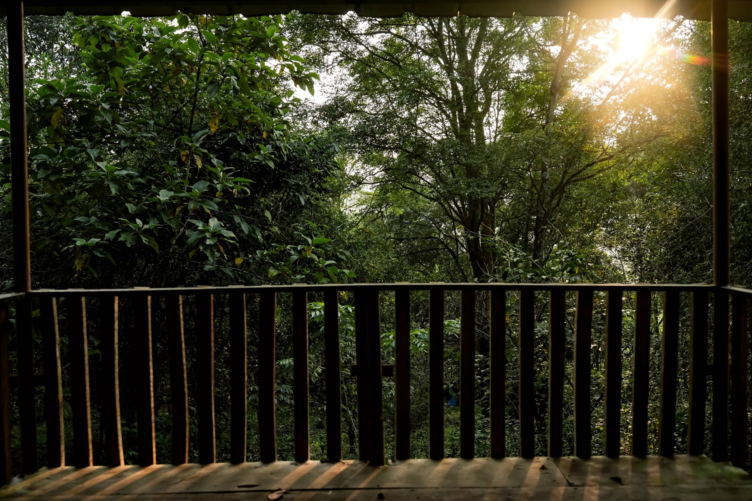 Woods Away Private Villa ~ Forestree Wayanad 22
