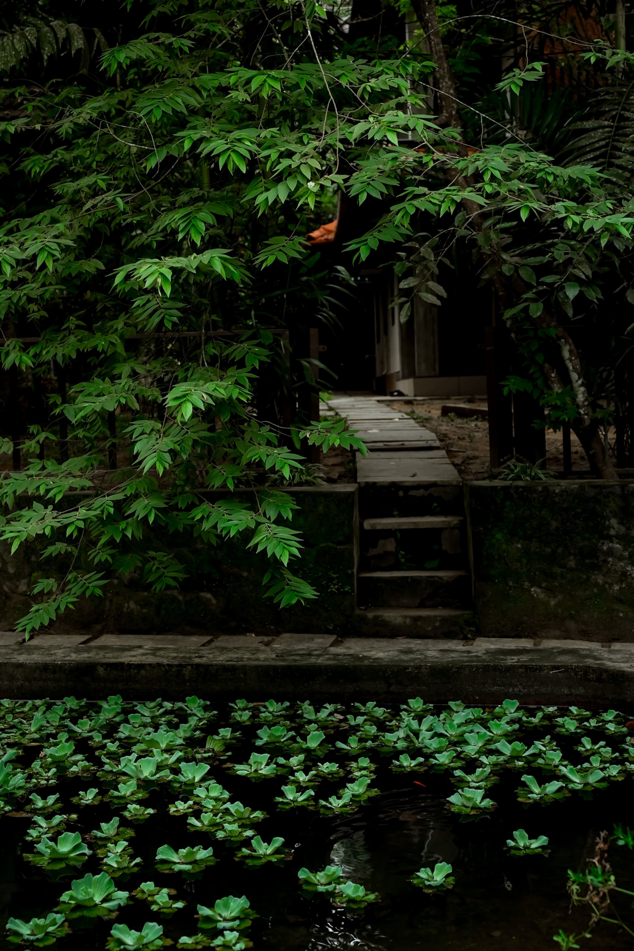 Woods Away Private Villa ~ Forestree Wayanad 28