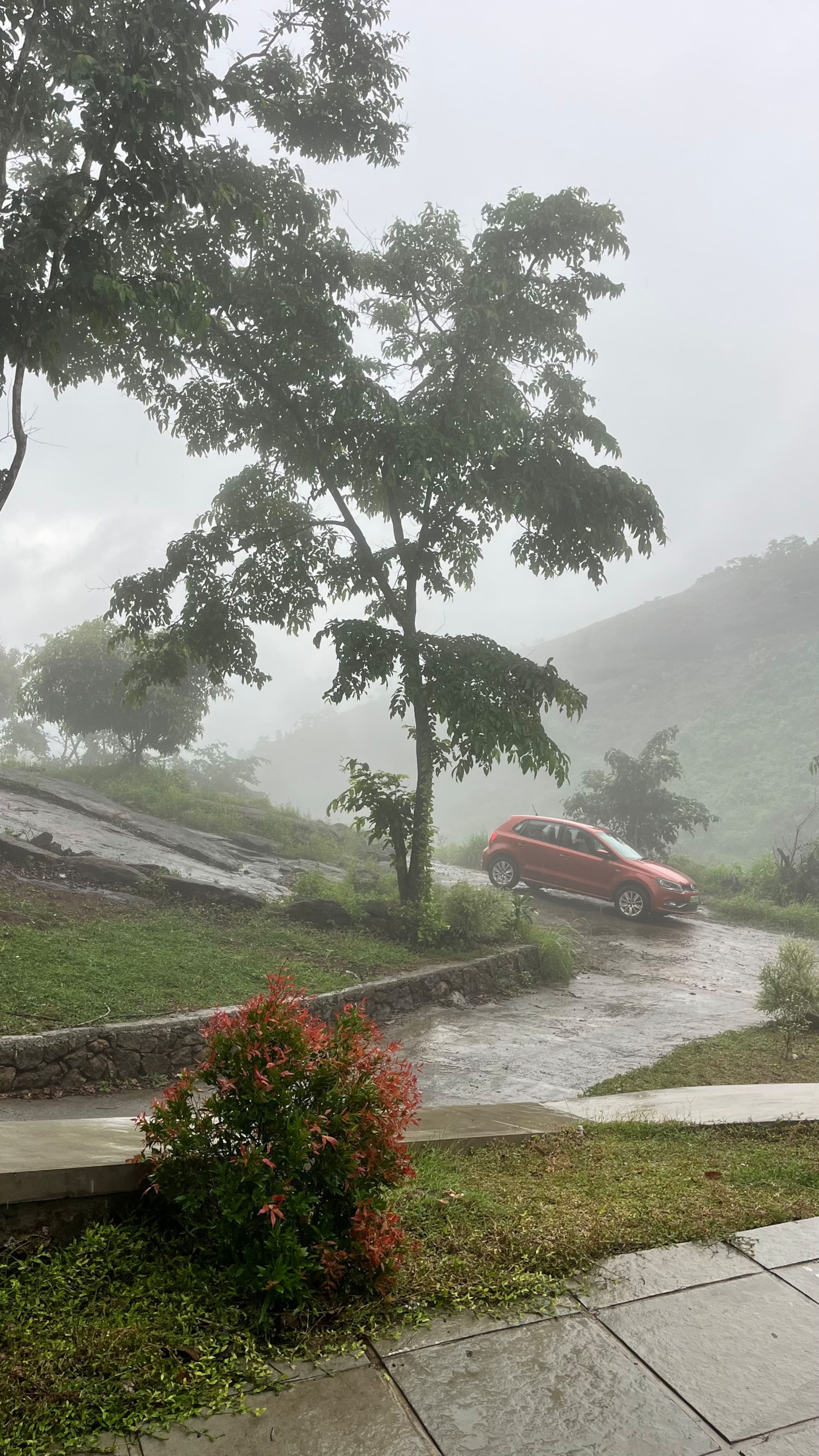 Monsoon Mist Hills – Nature’s Rhythm, Your Retreat 21
