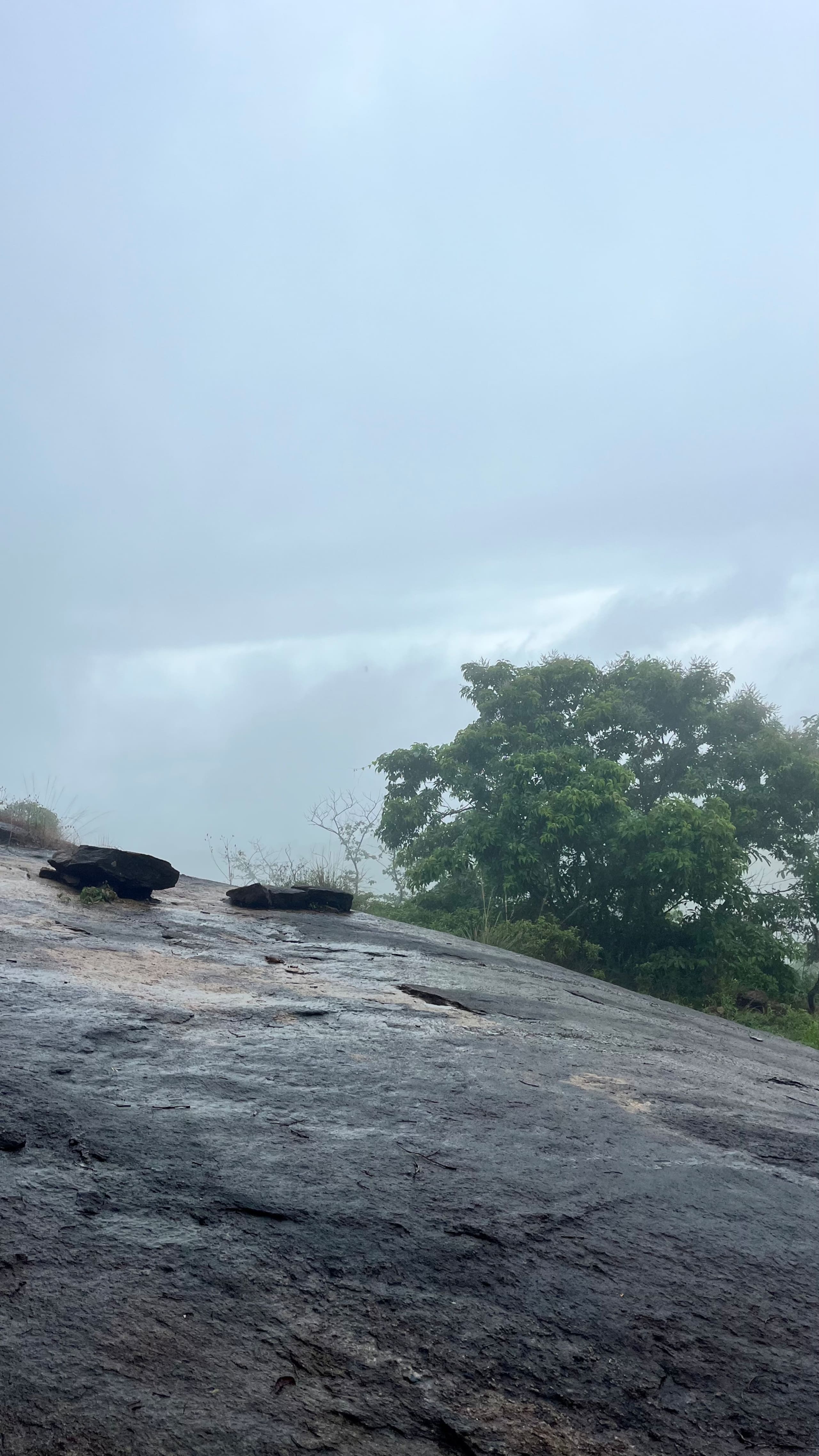 Monsoon Mist Hills – Nature’s Rhythm, Your Retreat 22
