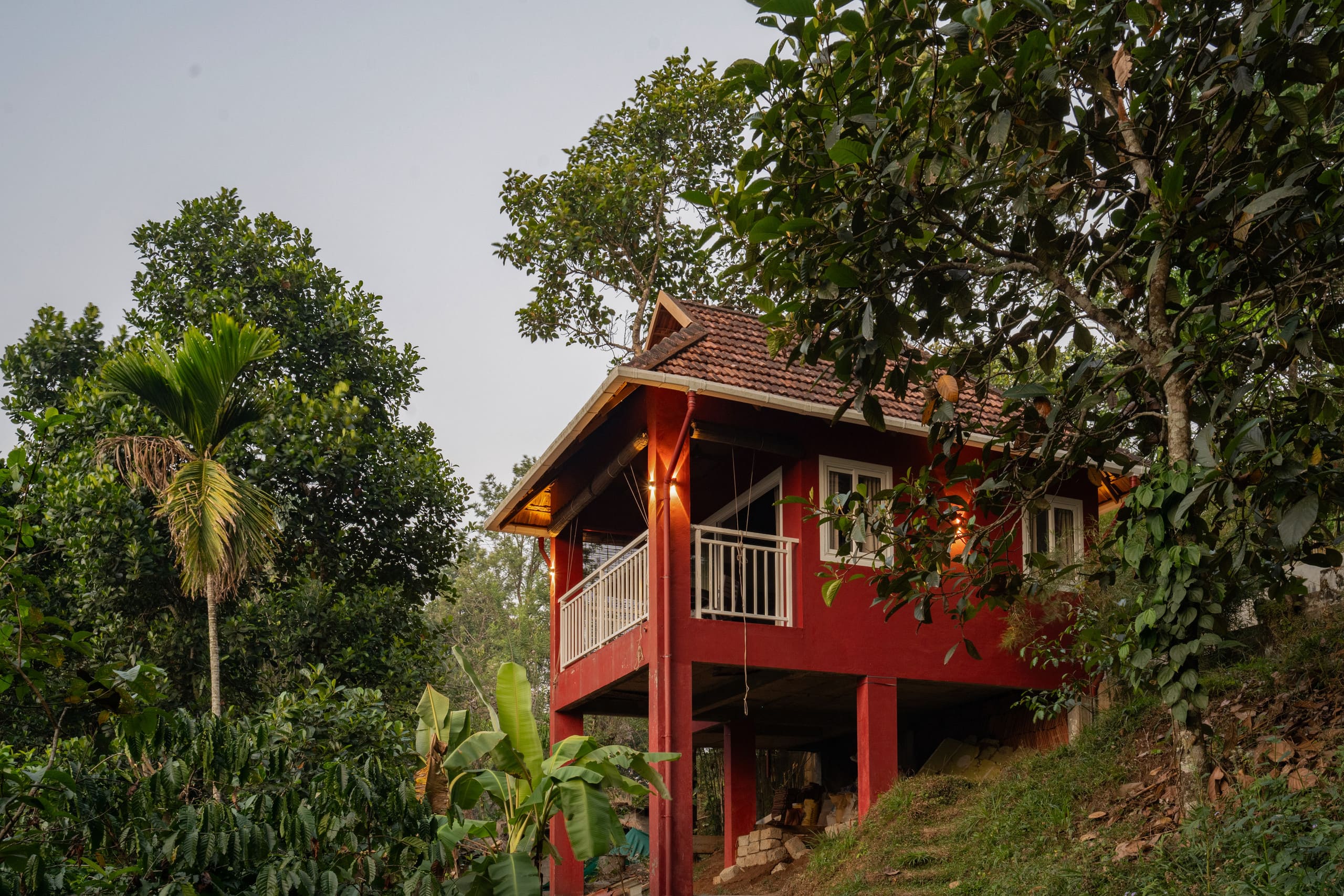 Bastiat Stays | Cloud Walk | Anachal,Munnar 2