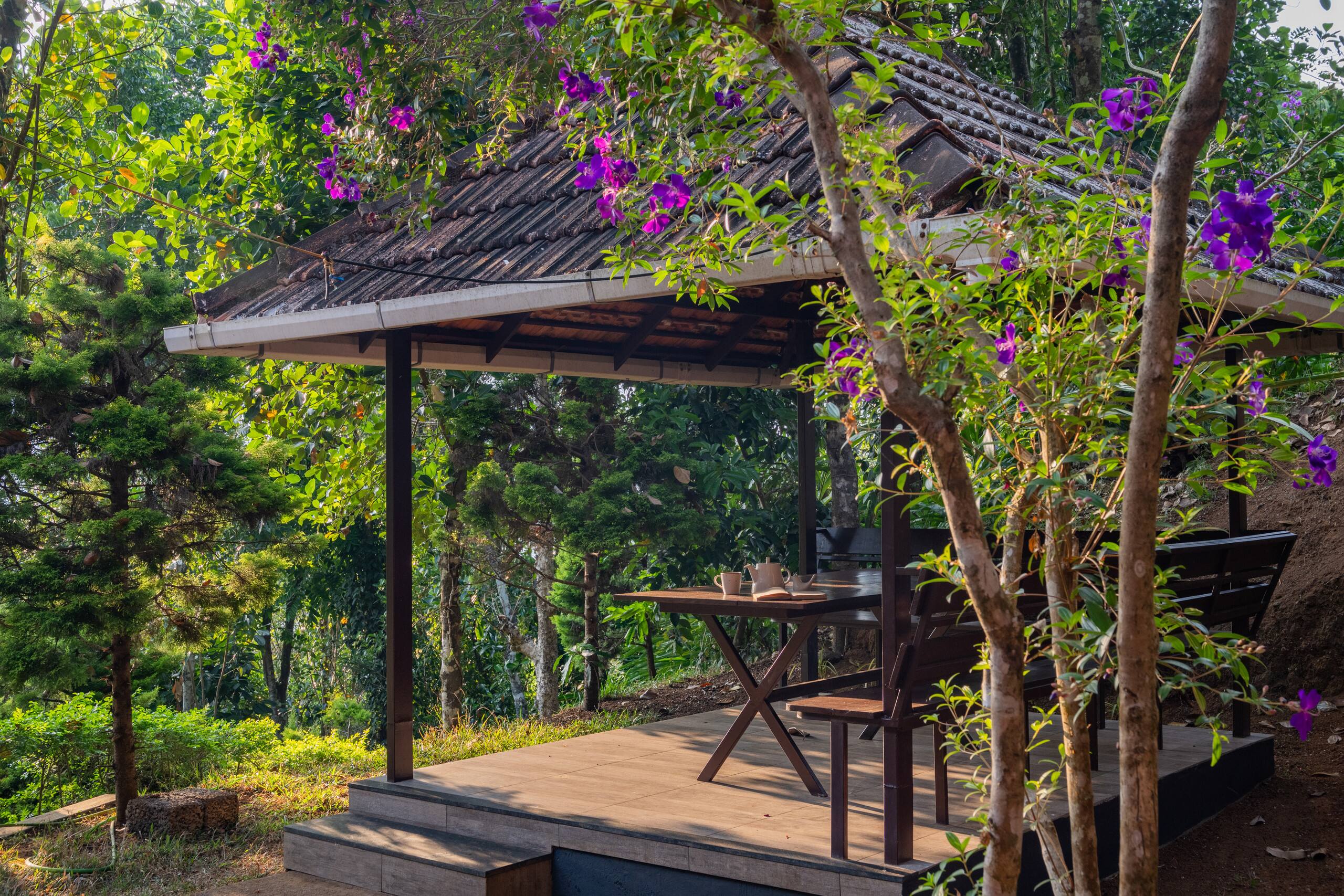 Bastiat Stays | Cloud Walk | Anachal,Munnar 5