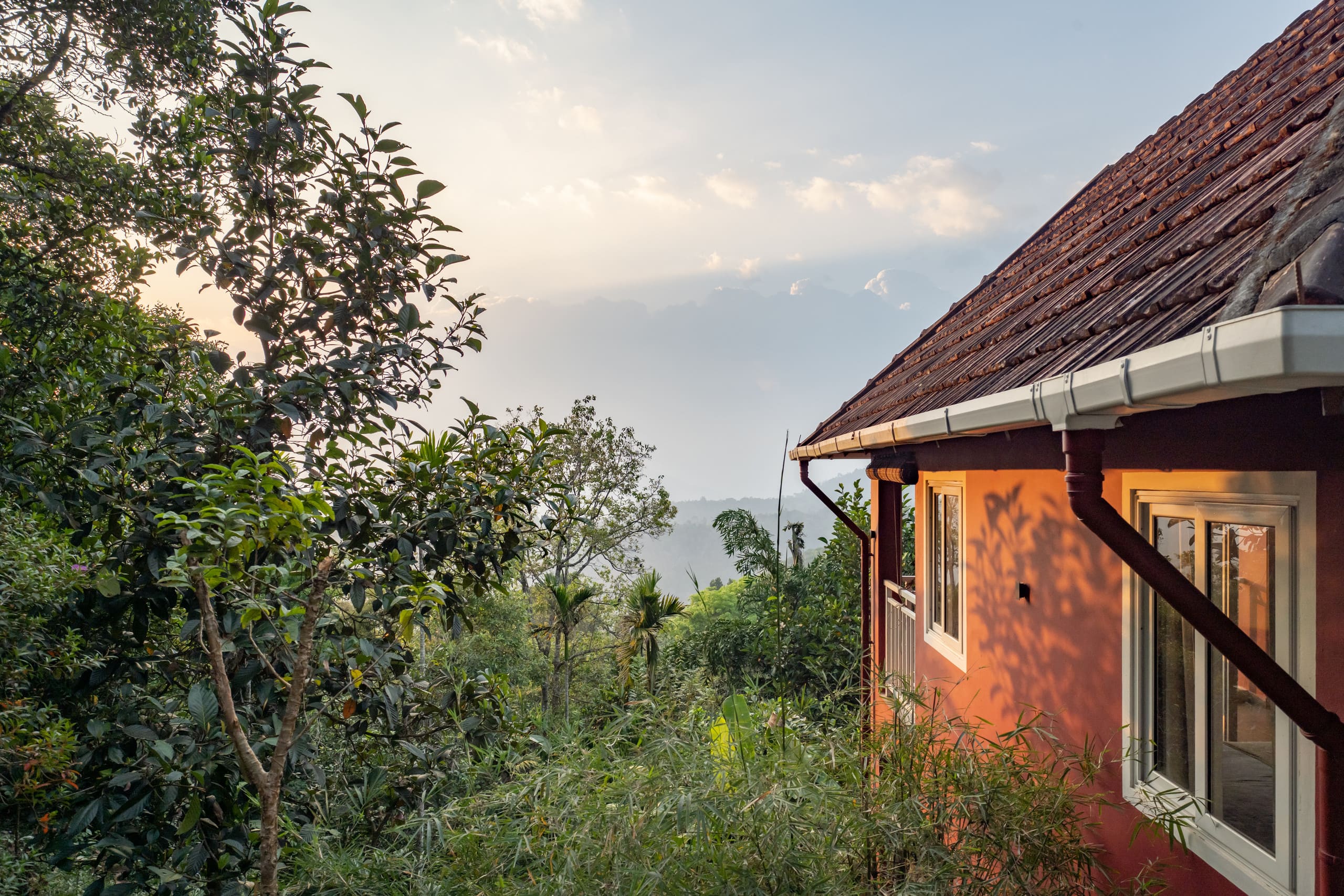 Bastiat Stays | Cloud Walk | Anachal,Munnar 13