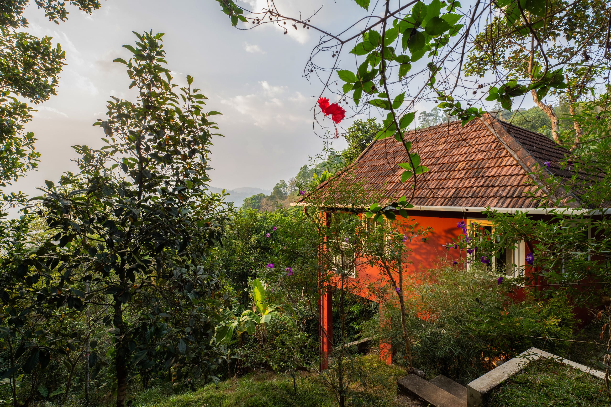 Bastiat Stays | Cloud Walk | Anachal,Munnar 14