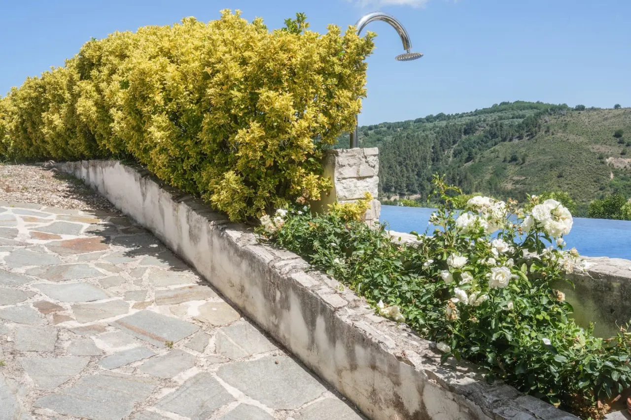 Villa in Vigna con Patio 10