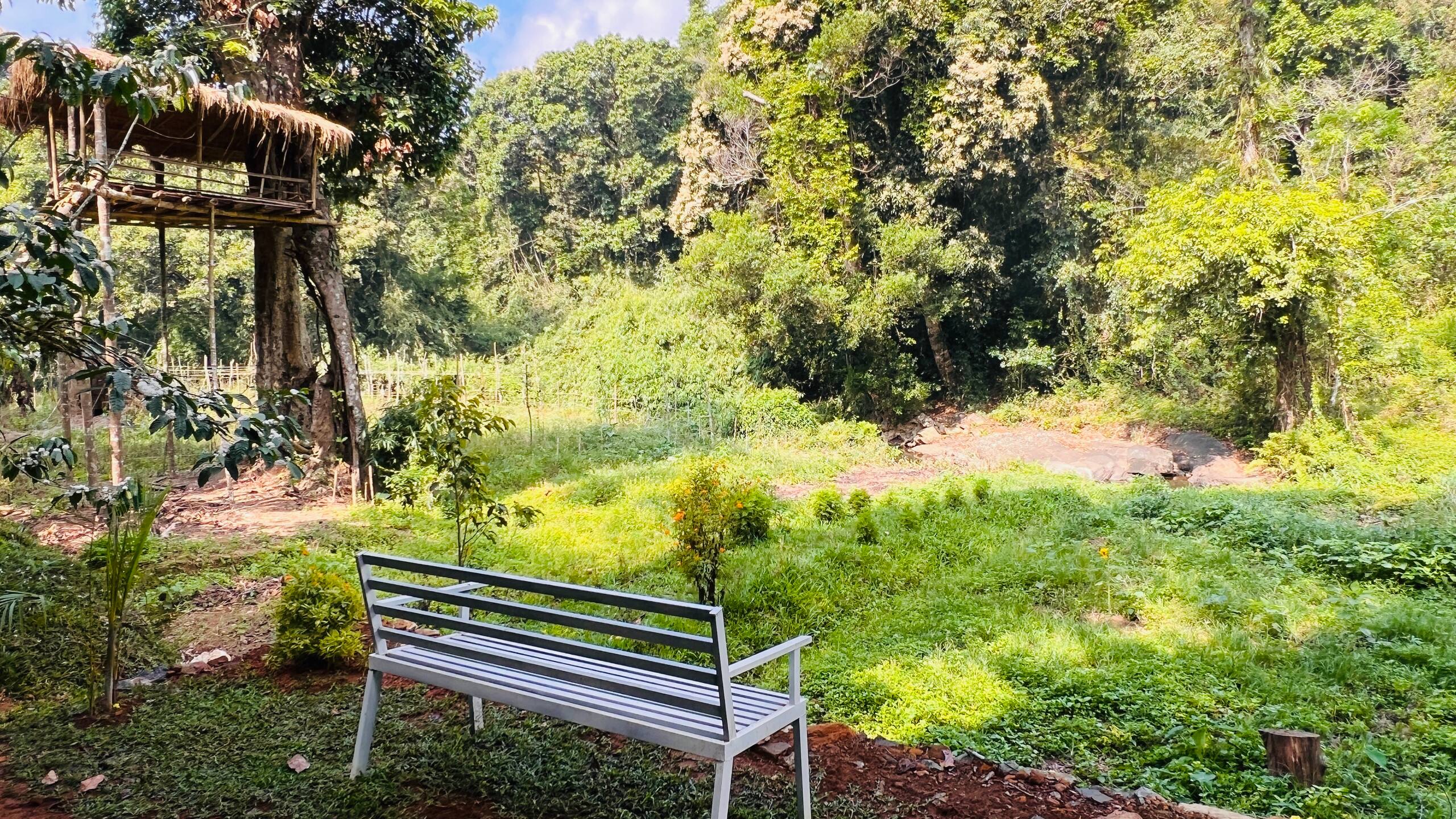 Fern Valley forest&stream view cottage 25