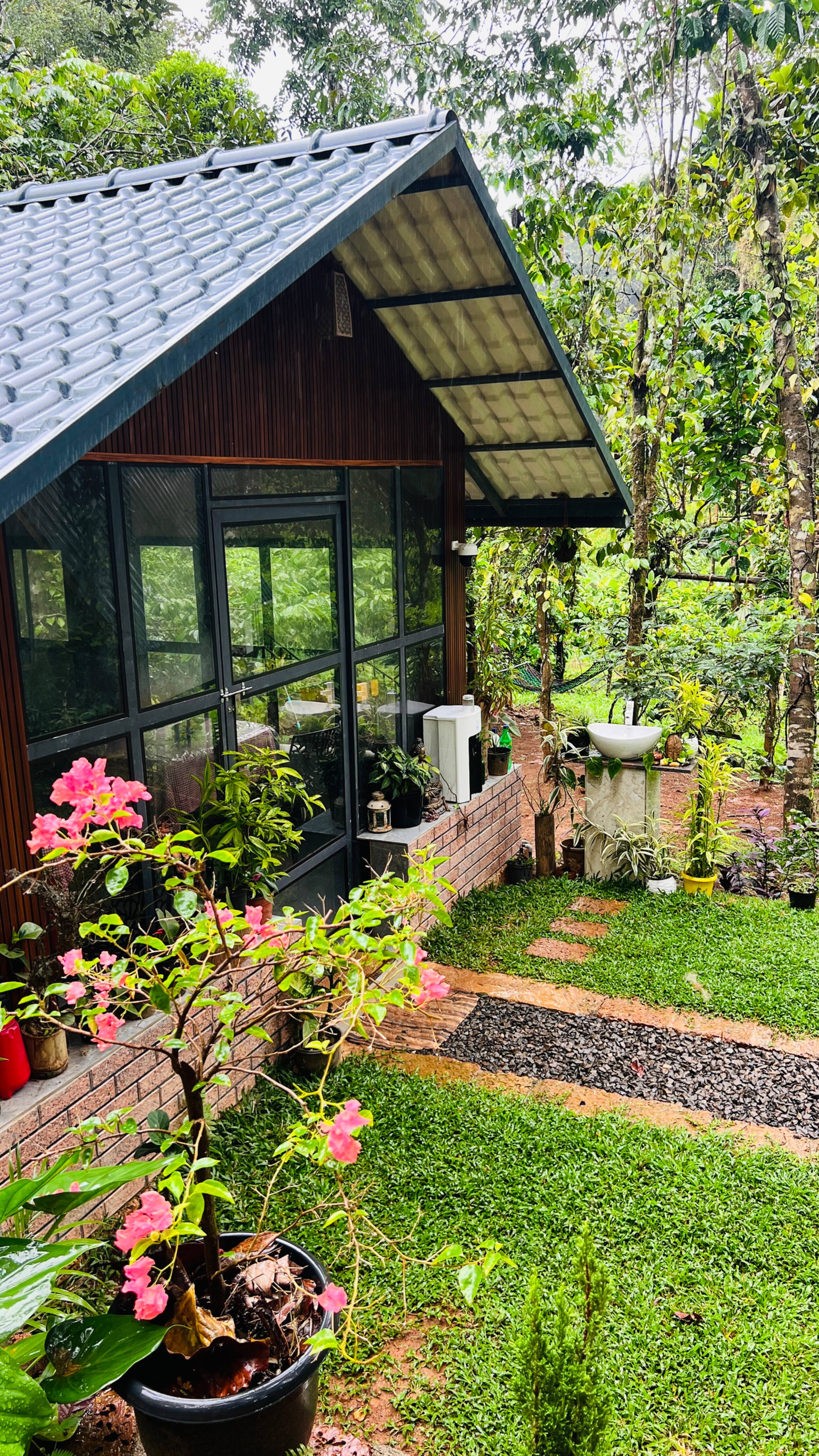Fern Valley forest&stream view cottage 17