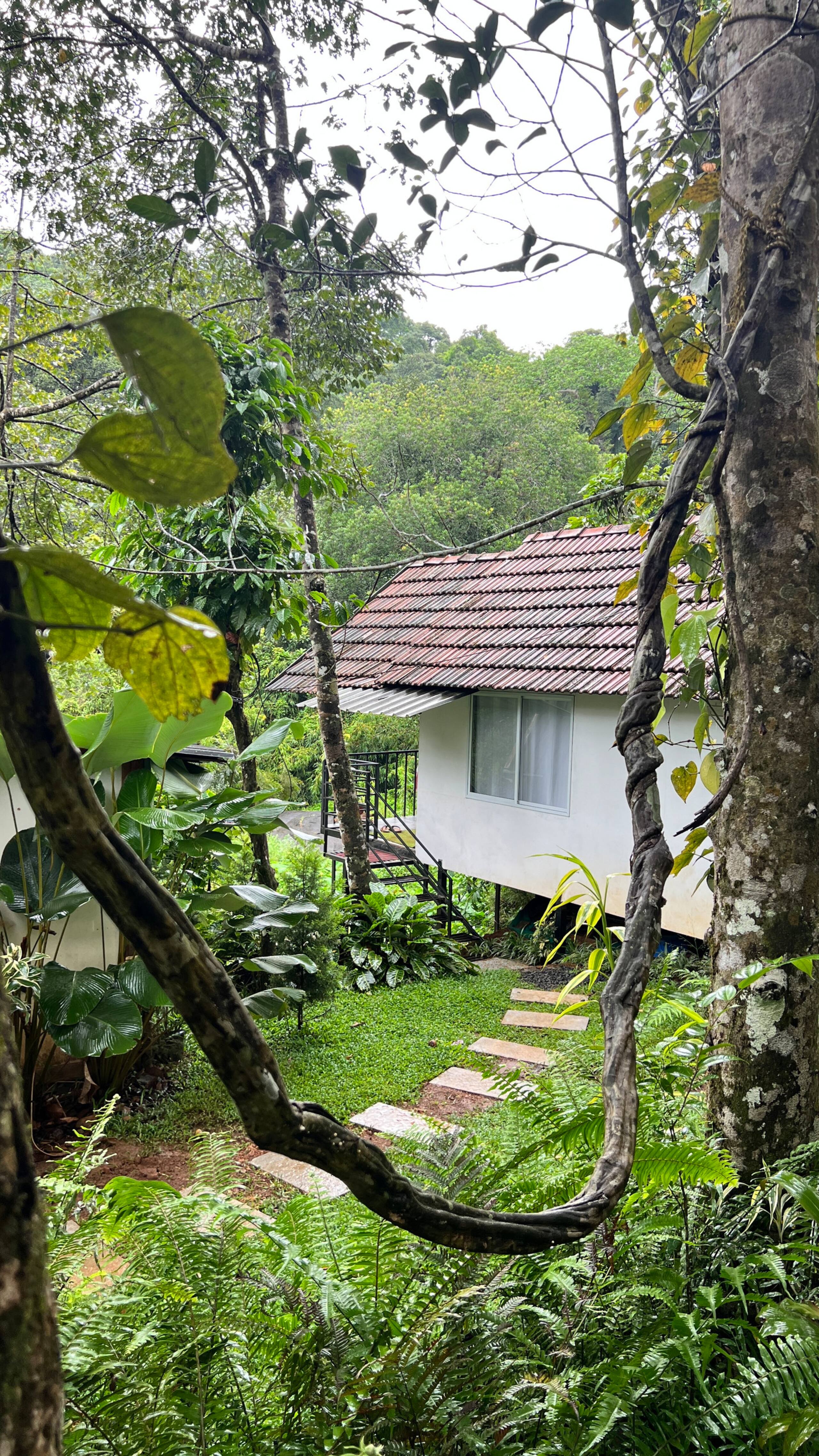 Fern Valley forest&stream view cottage 37