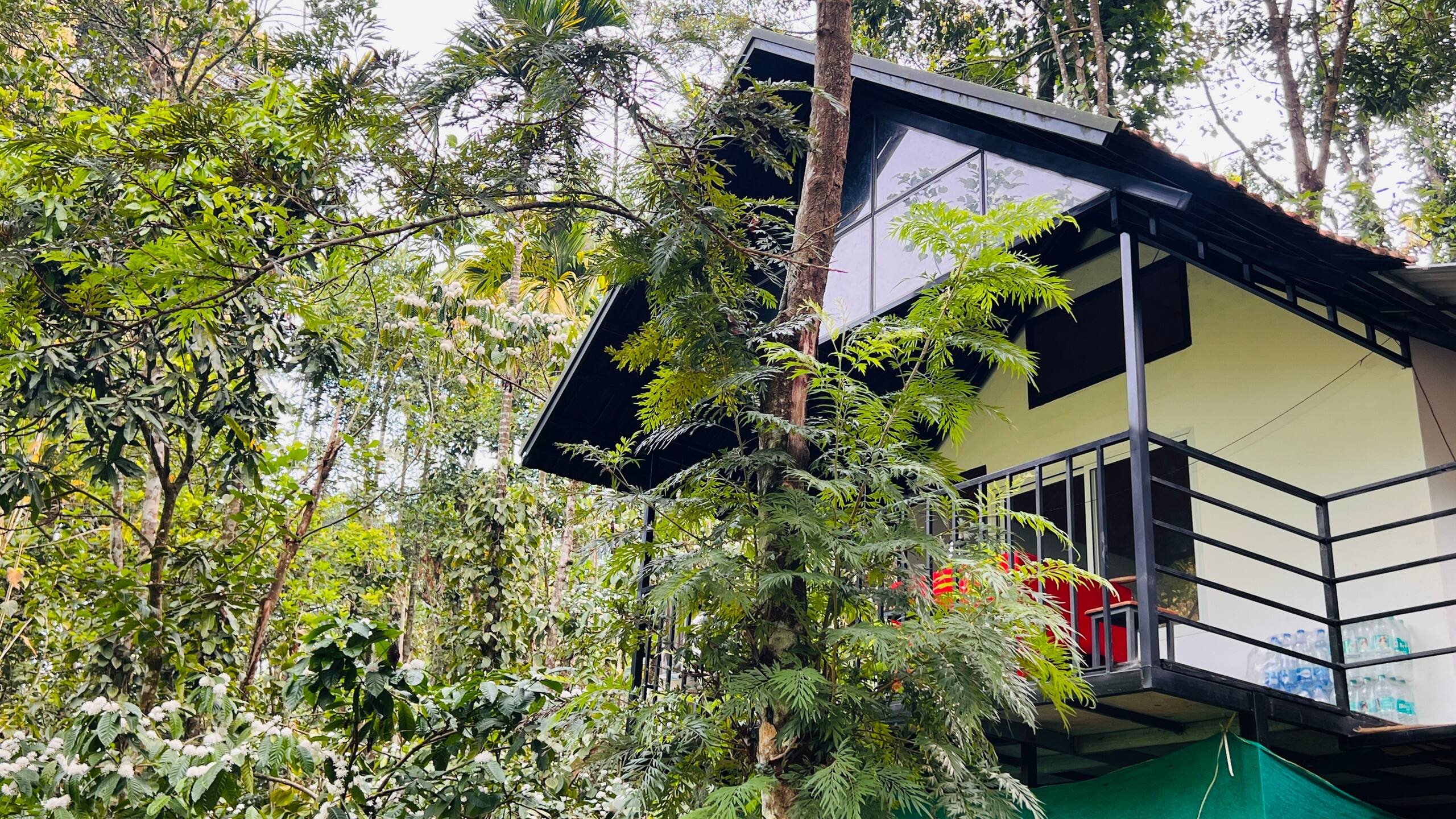 Fern Valley forest&stream view cottage 26