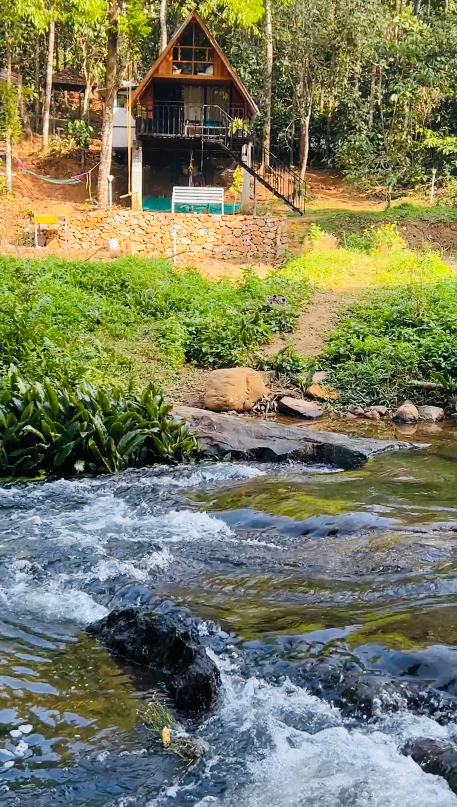 Fern Valley forest&stream view cottage 5