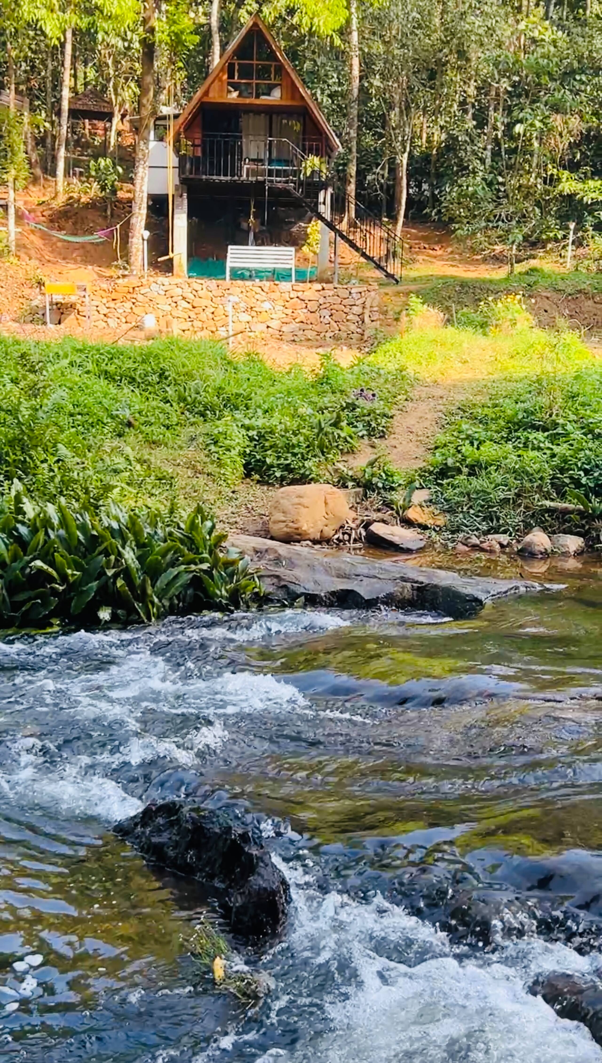 Fern Valley forest&stream view cottage 5