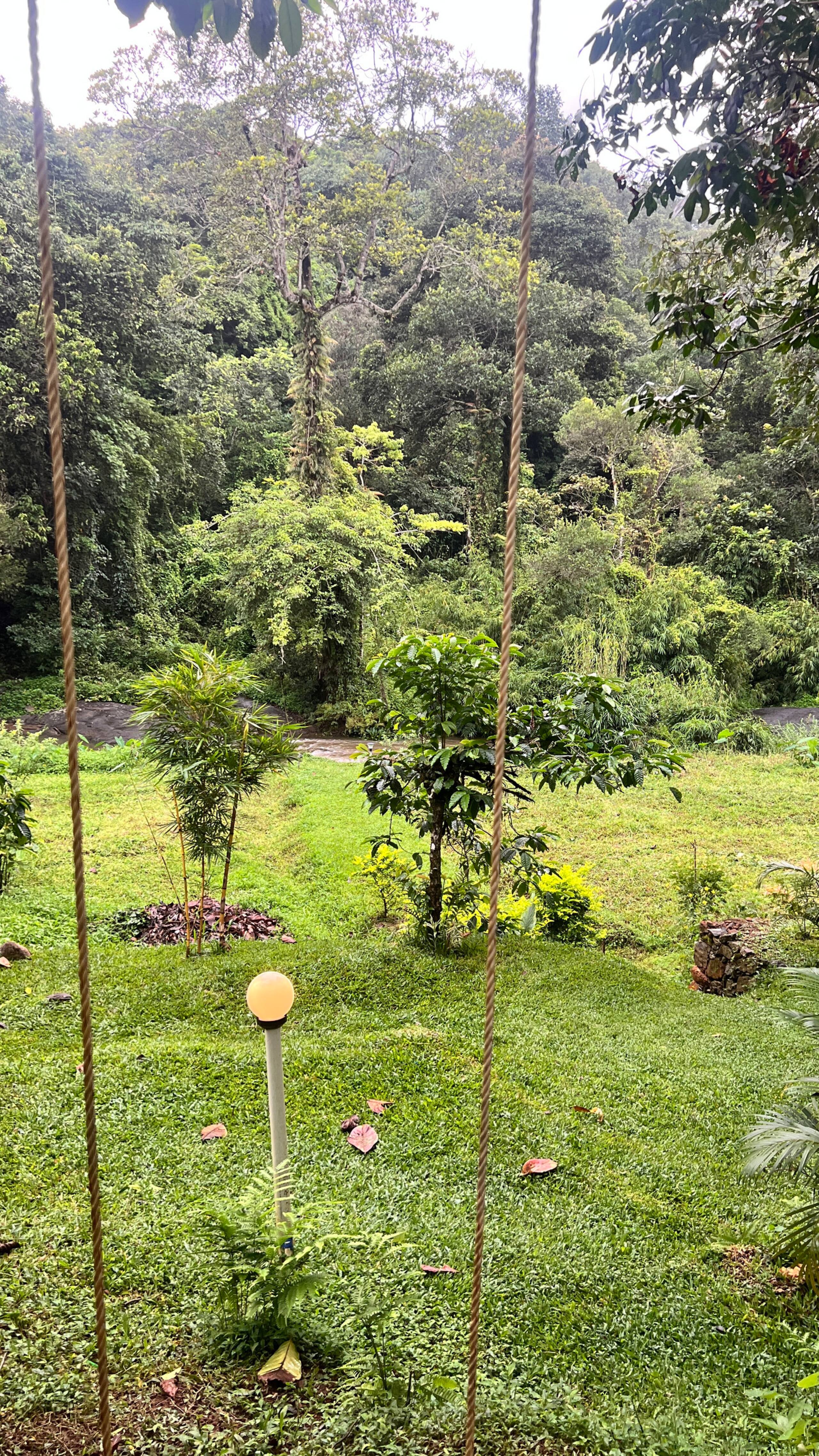 Fern Valley forest&stream view cottage 33