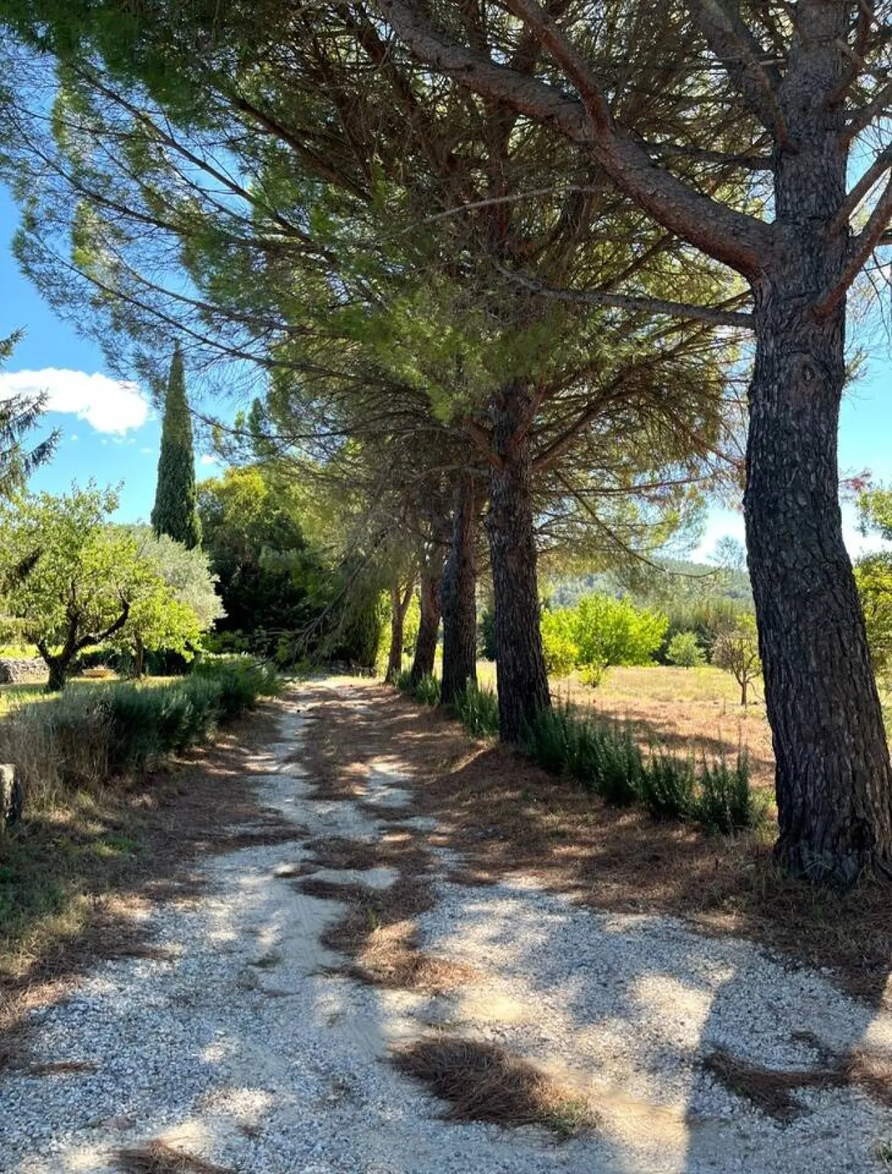 Gîte au cœur de la nature pour 8 voyageurs 19