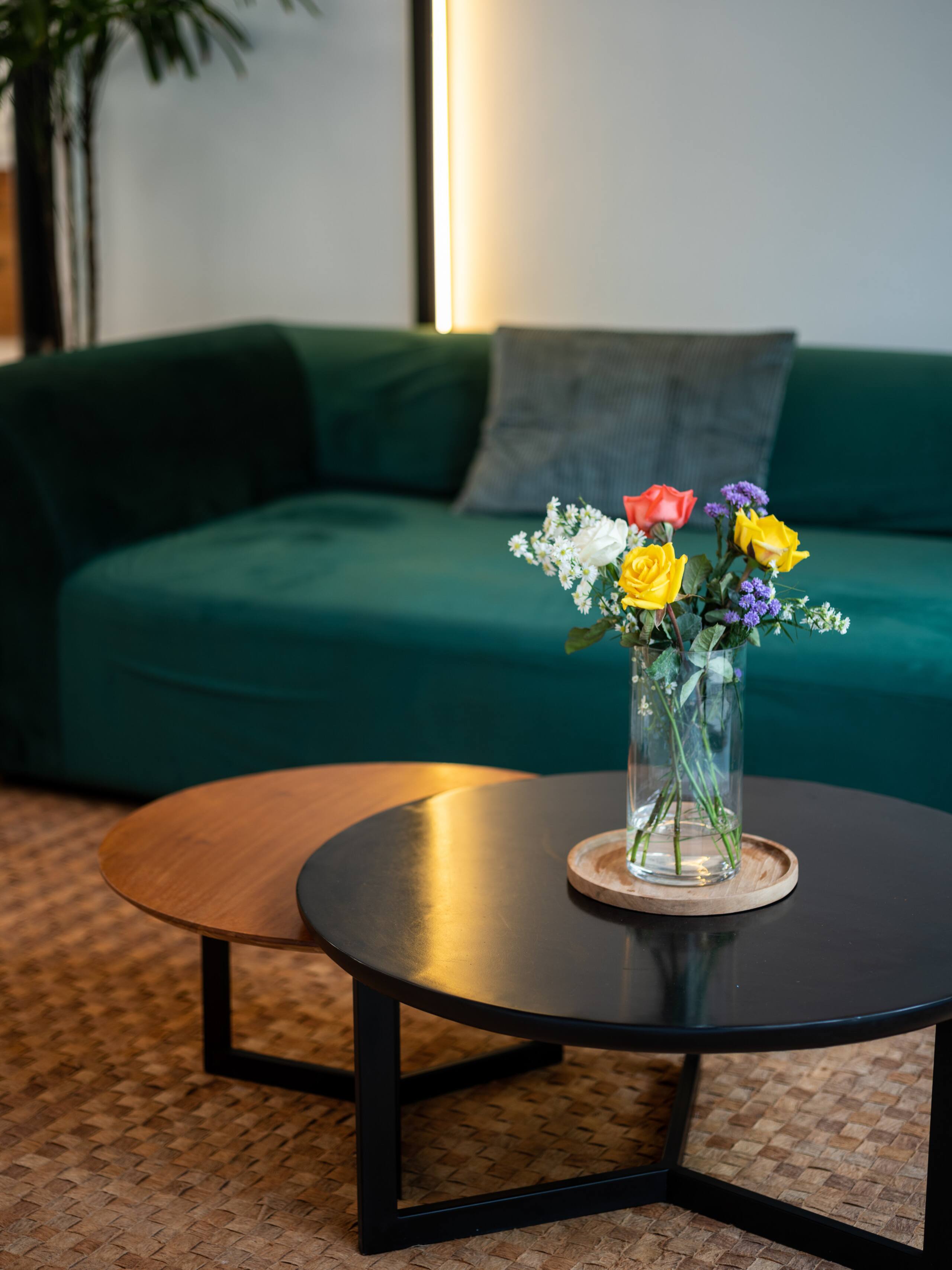 Airbnb listing 51716370 14