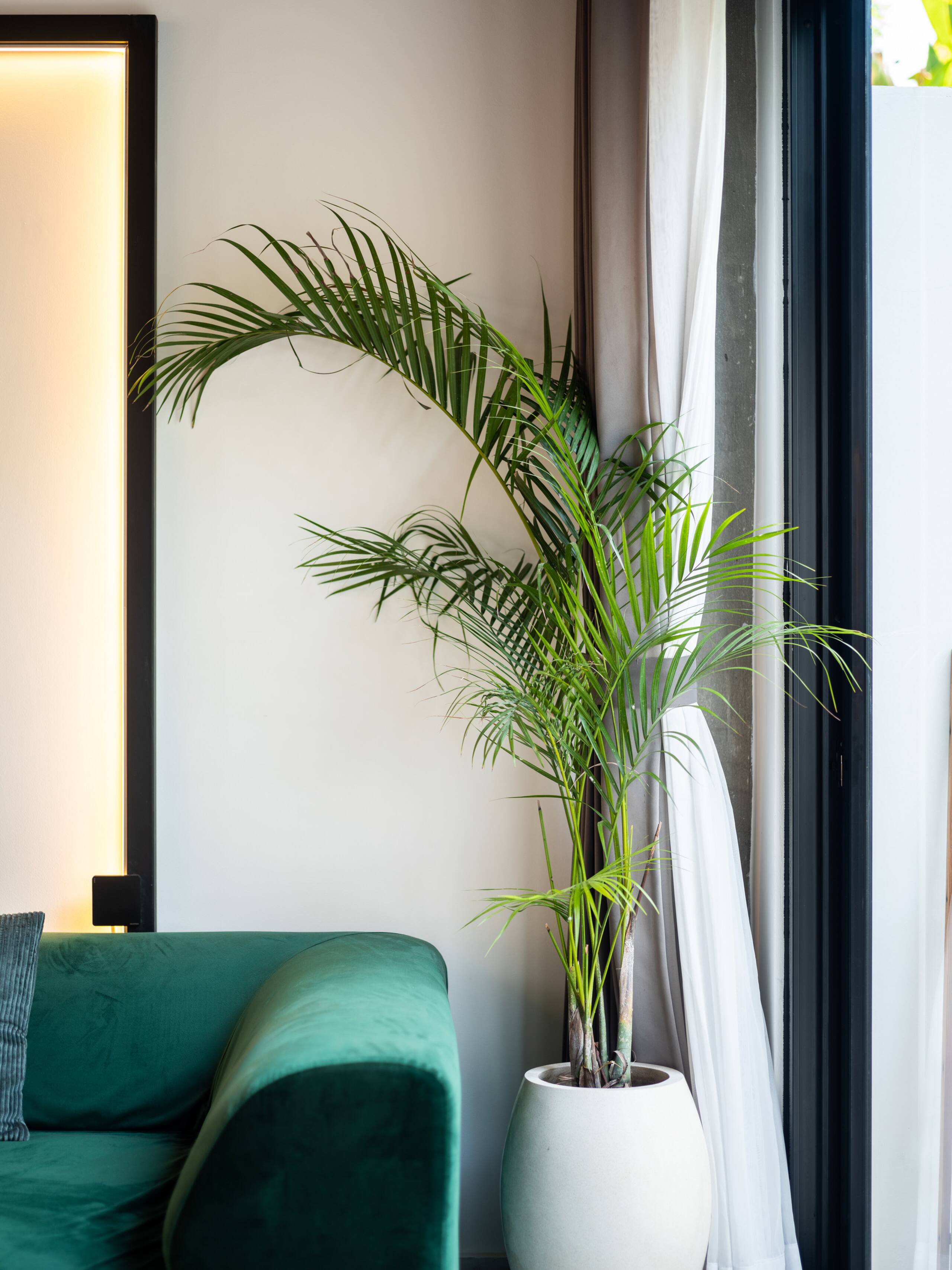 Airbnb listing 51716370 16