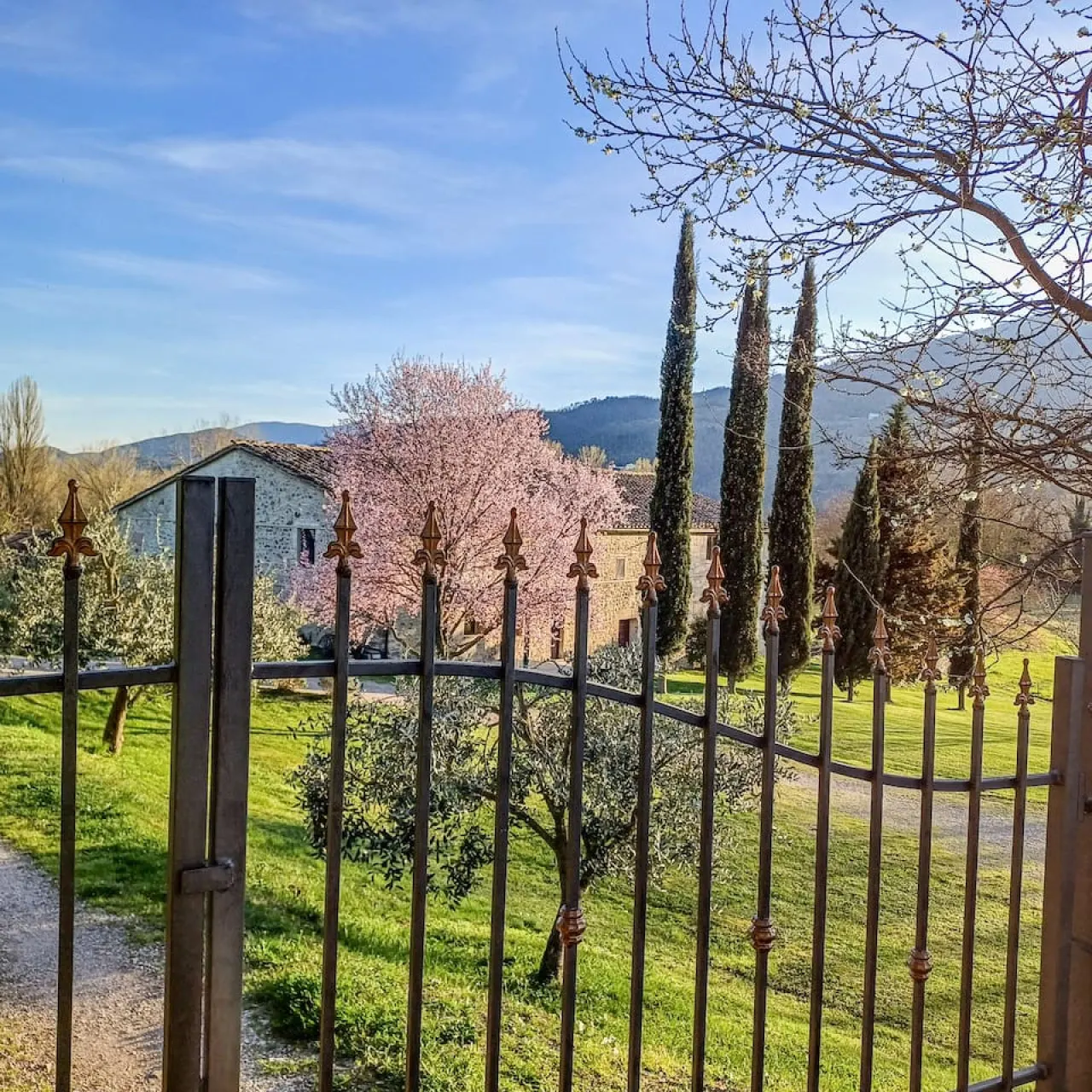 Il Casale di John — photo 3