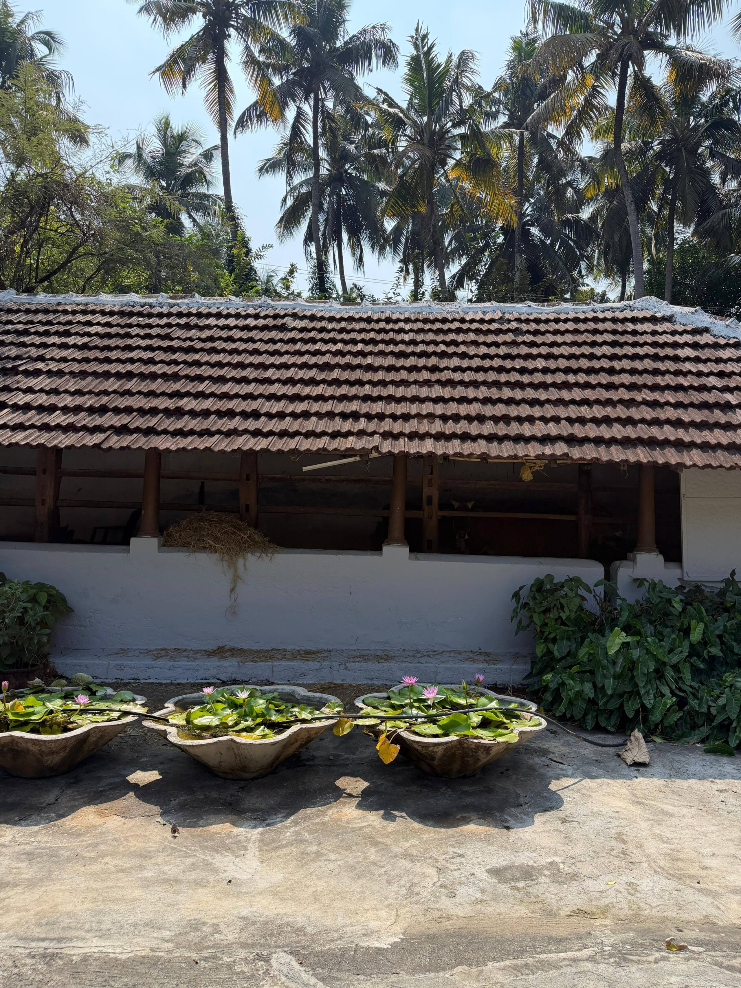 Homestay in Alappura |3 BR Farmstay| by clayfields 36