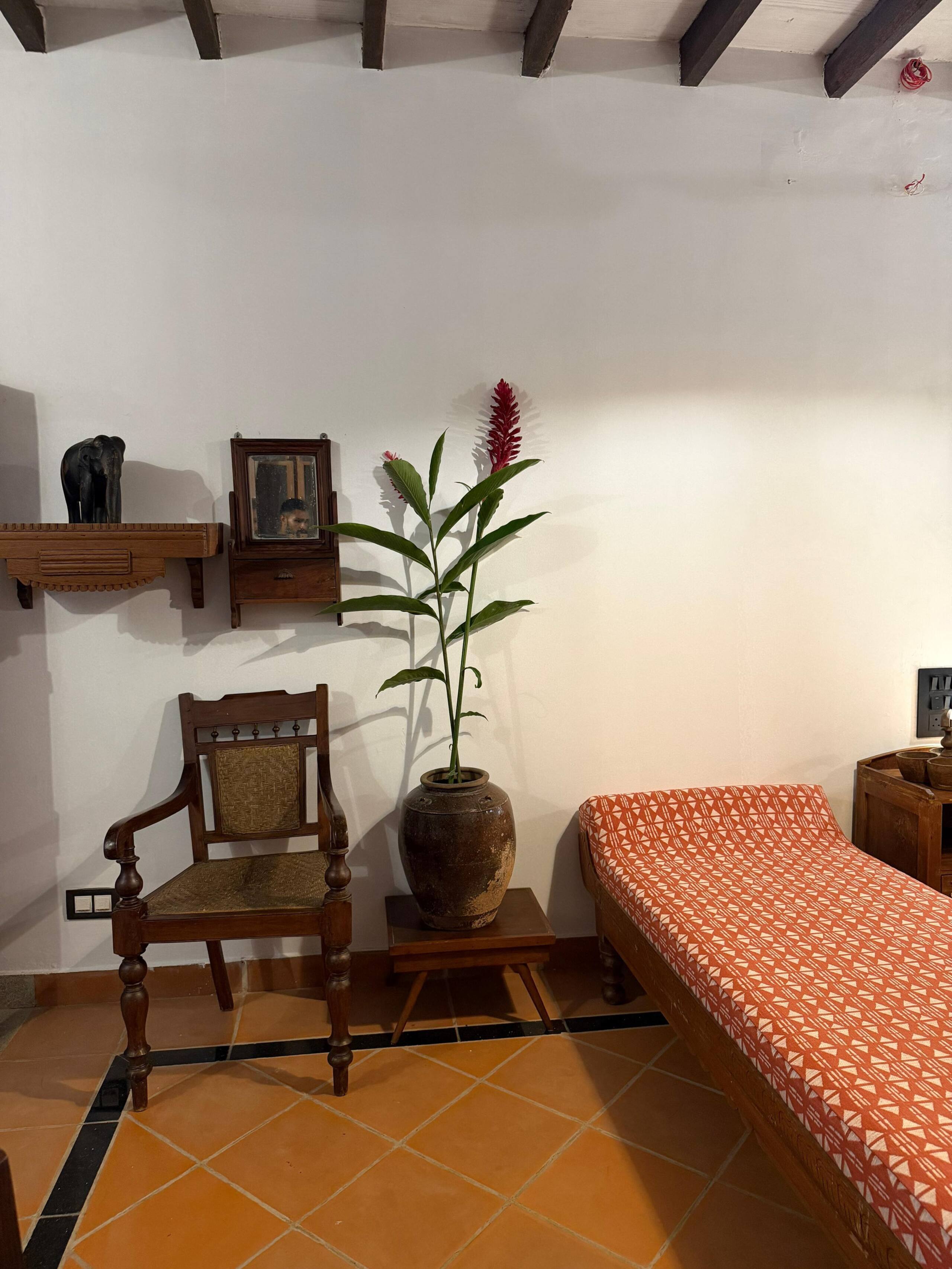 Homestay in Alappura |3 BR Farmstay| by clayfields 11