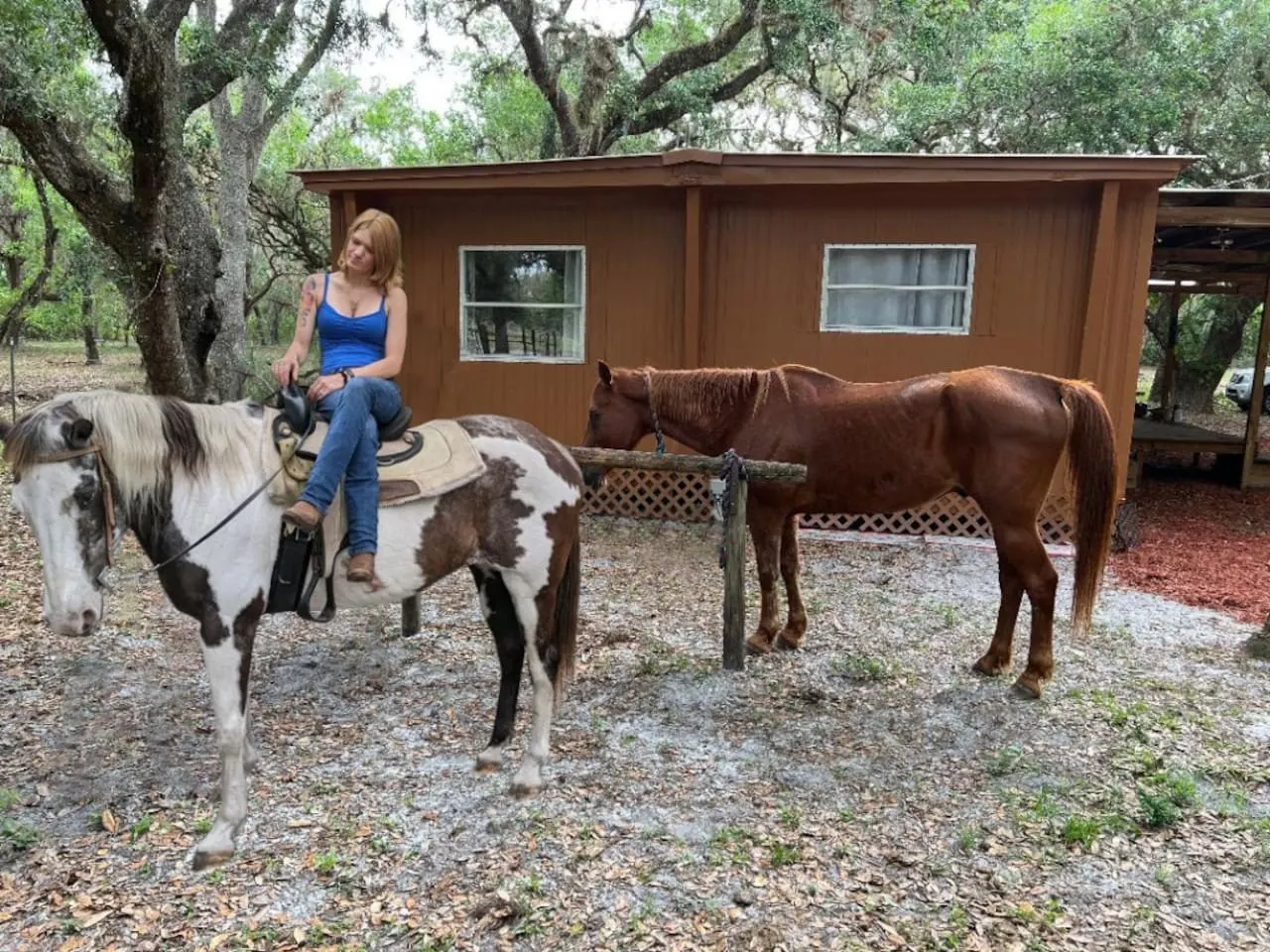 Cool Cabin+FREE Horseback Riding+Farm Animals 9
