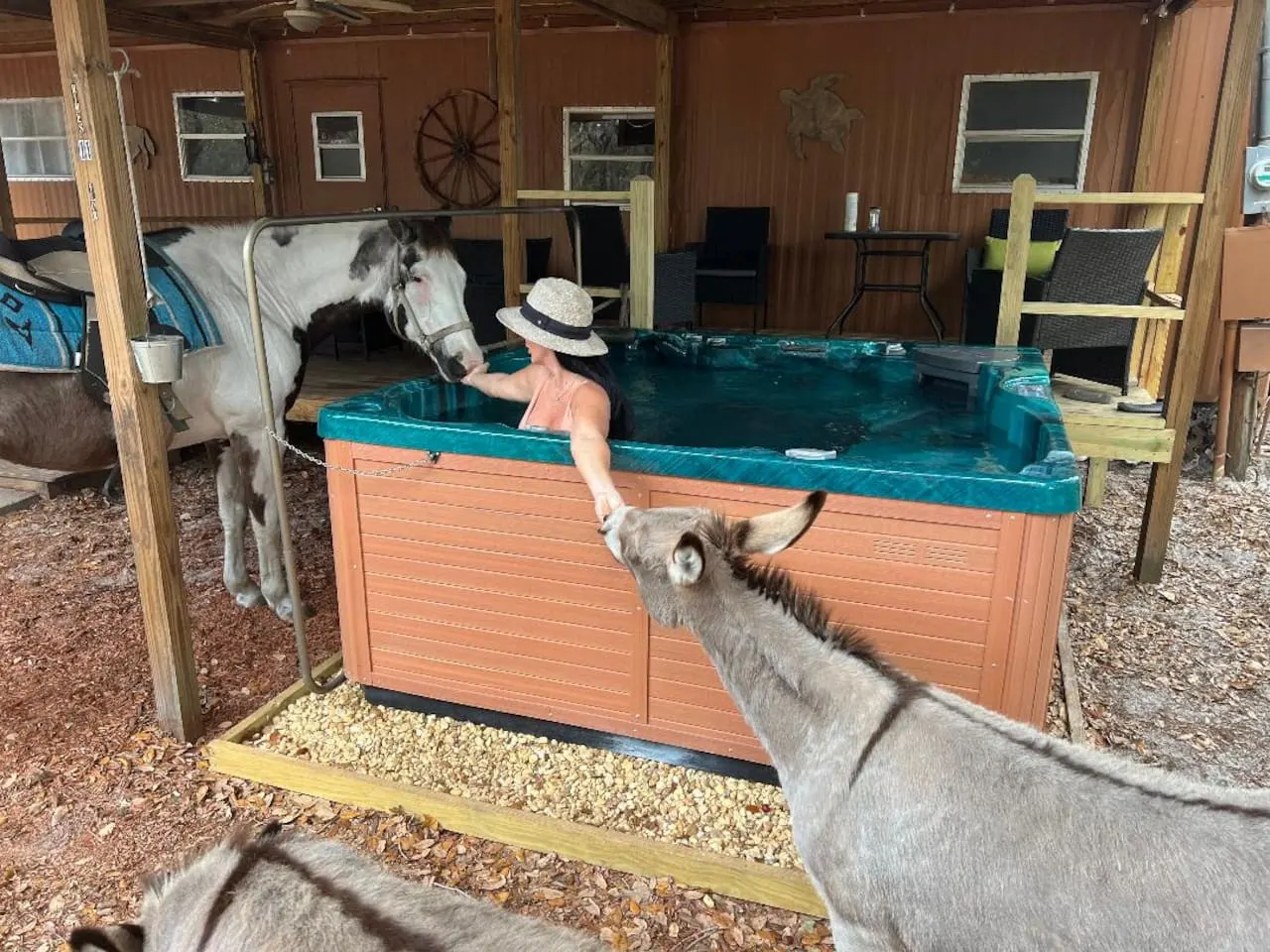 Cool Cabin+FREE Horseback Riding+Farm Animals 15