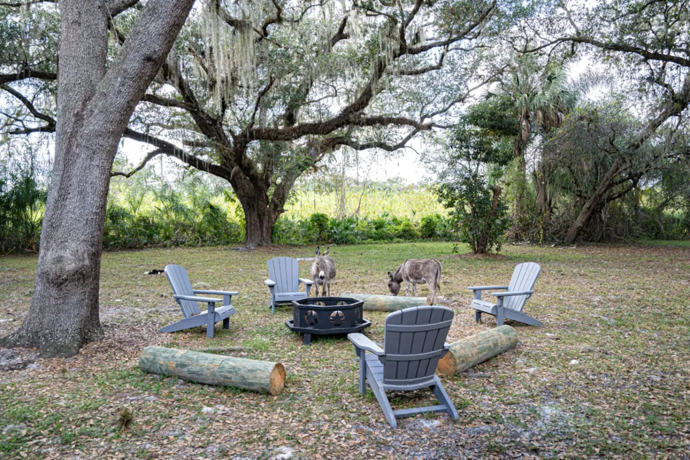 Cool Cabin+FREE Horseback Riding+Farm Animals 18