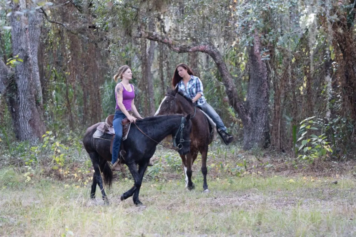 Cool Cabin+FREE Horseback Riding+Farm Animals 20