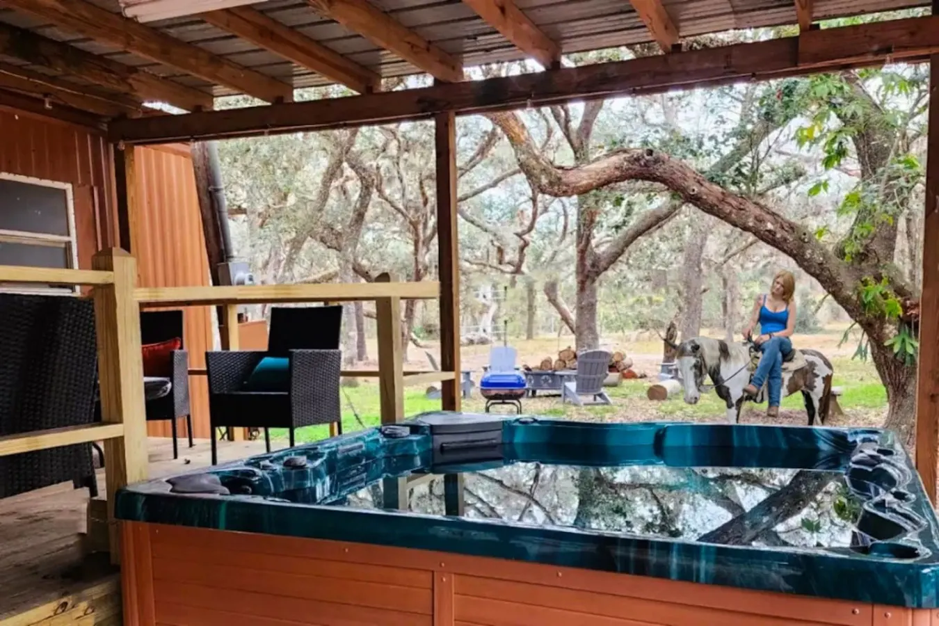 Cool Cabin+FREE Horseback Riding+Farm Animals 6