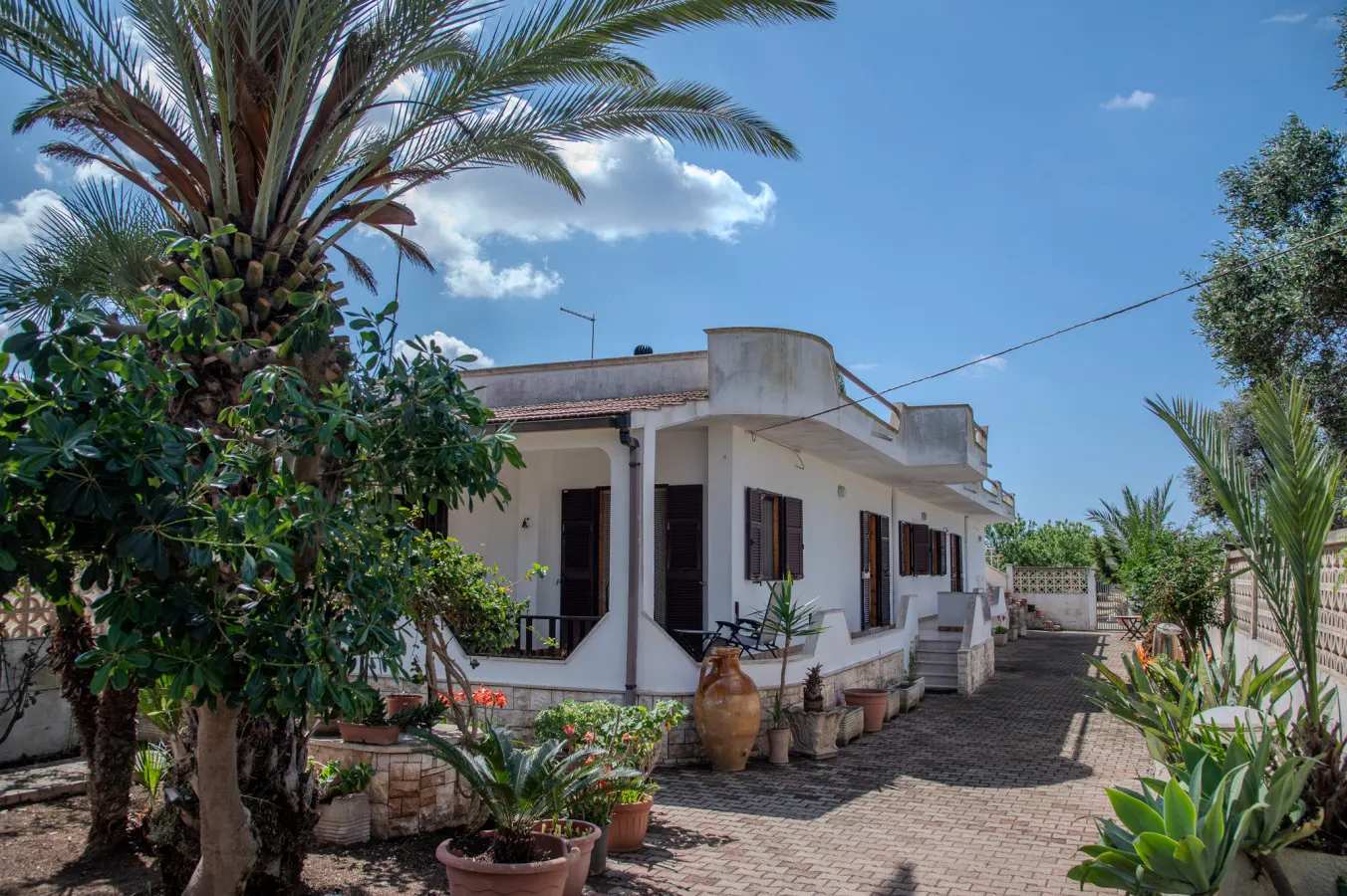 Villa Ada 14
