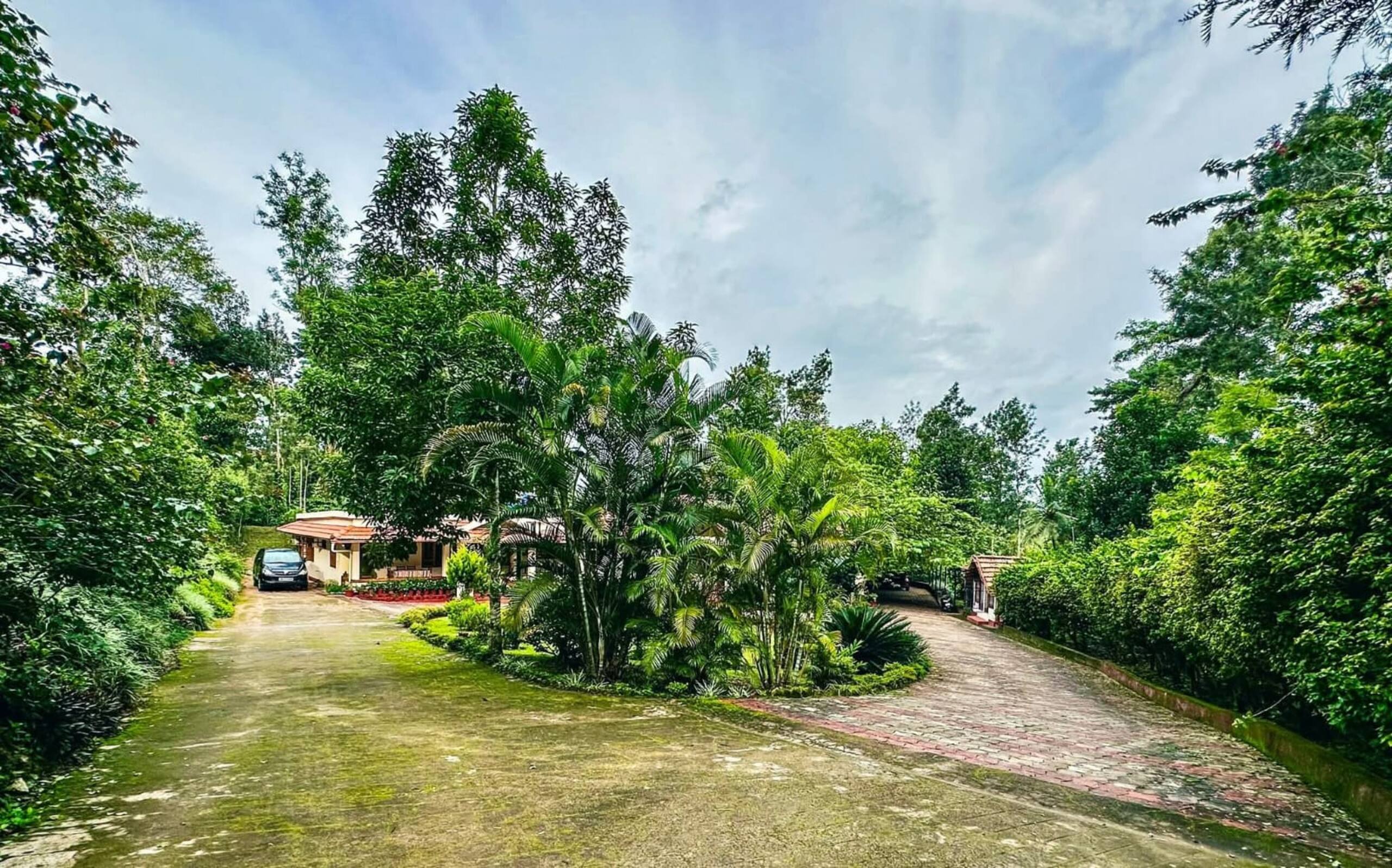 The Cottage Pollibetta 27