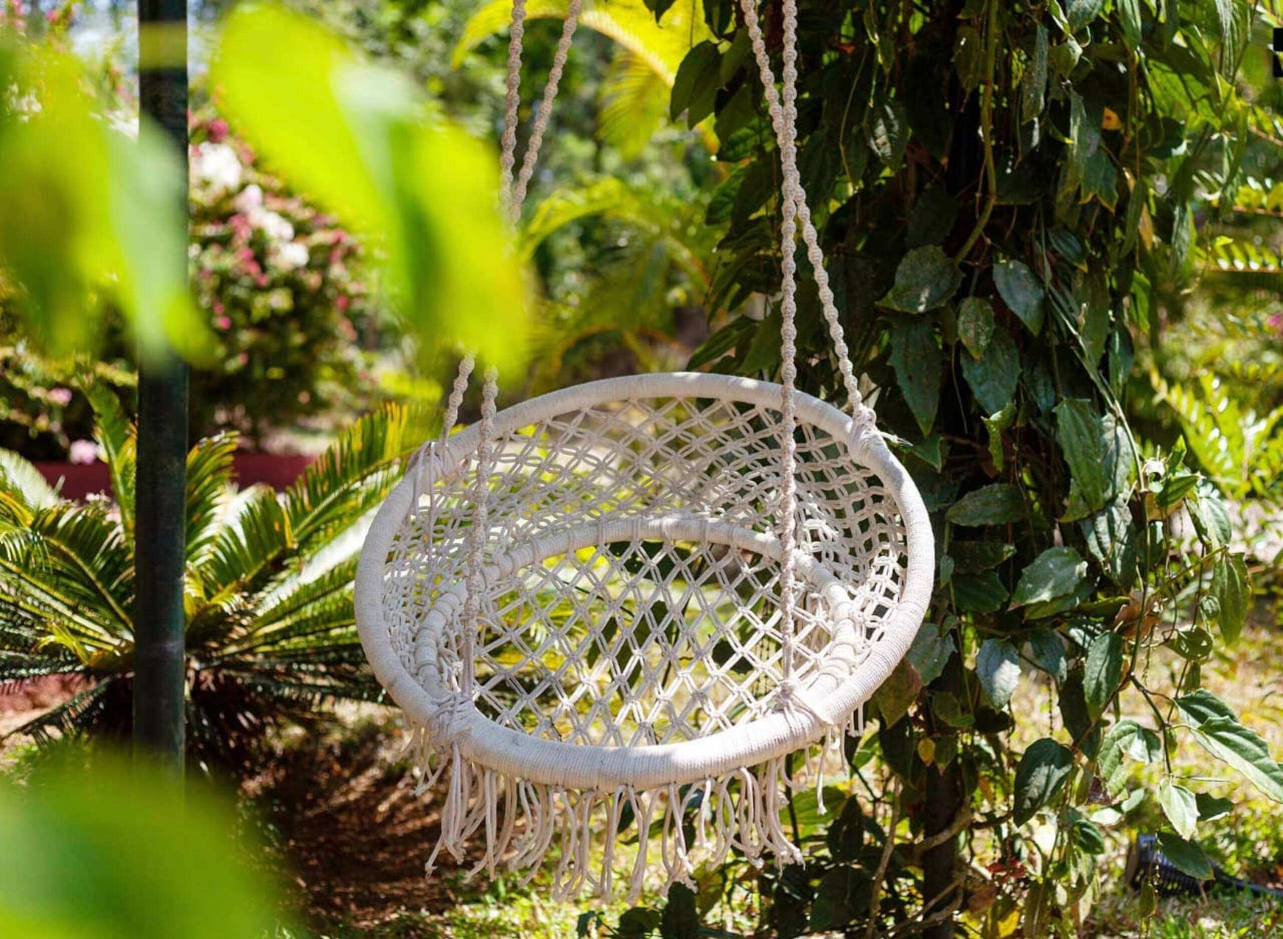 The Cottage Pollibetta 26