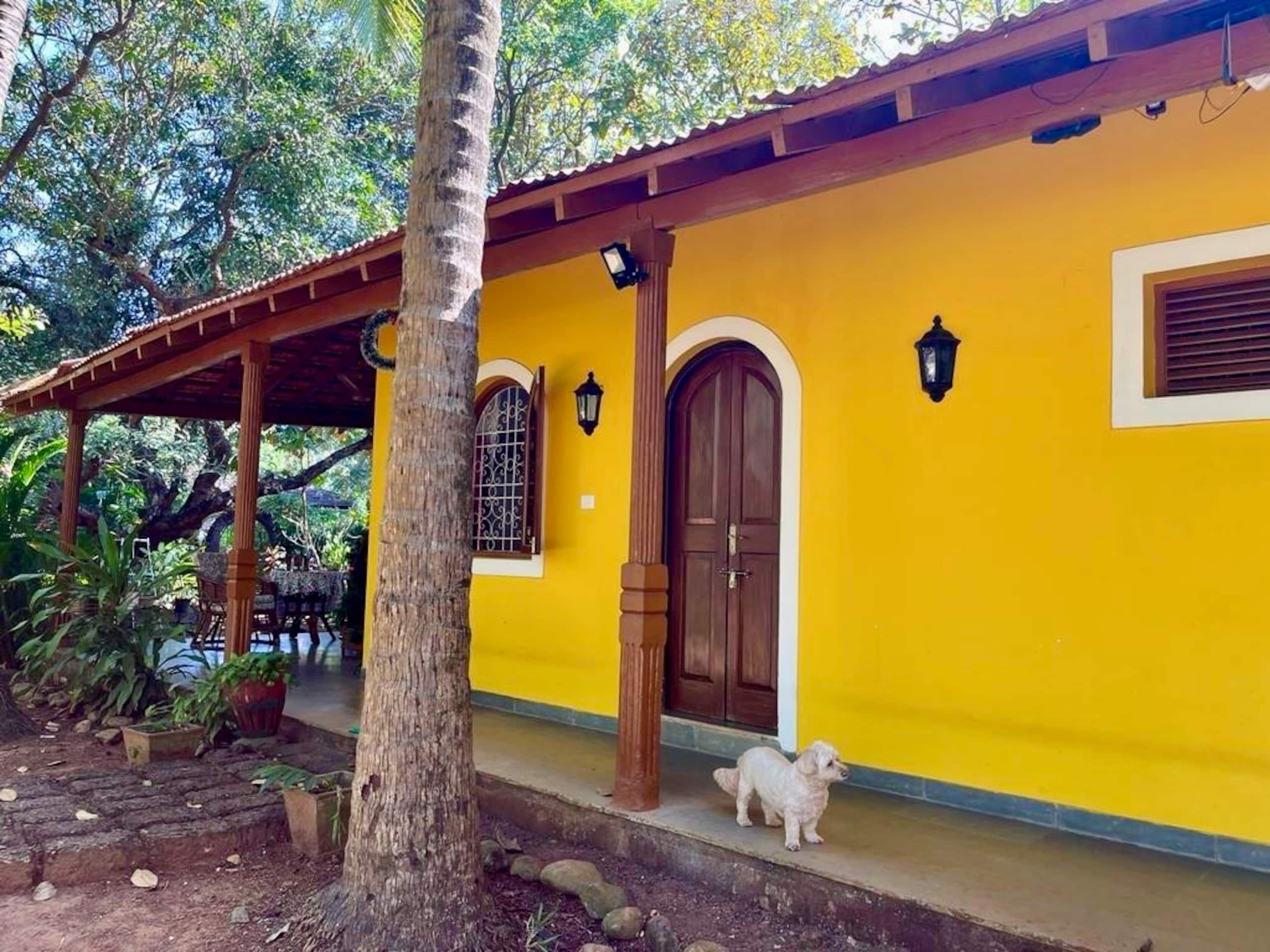 Peaceful Paradise in South Goa 6