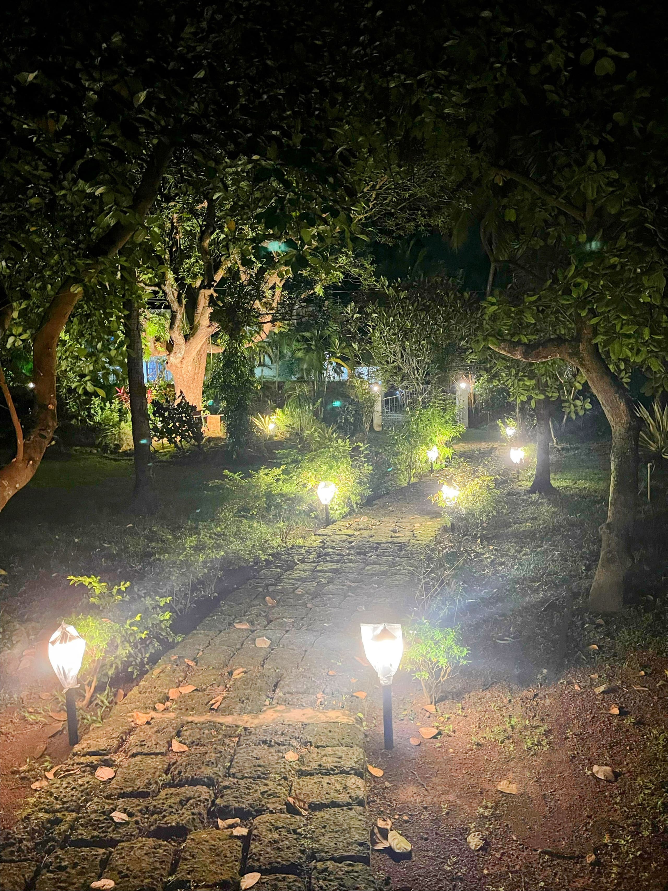 Peaceful Paradise in South Goa 7