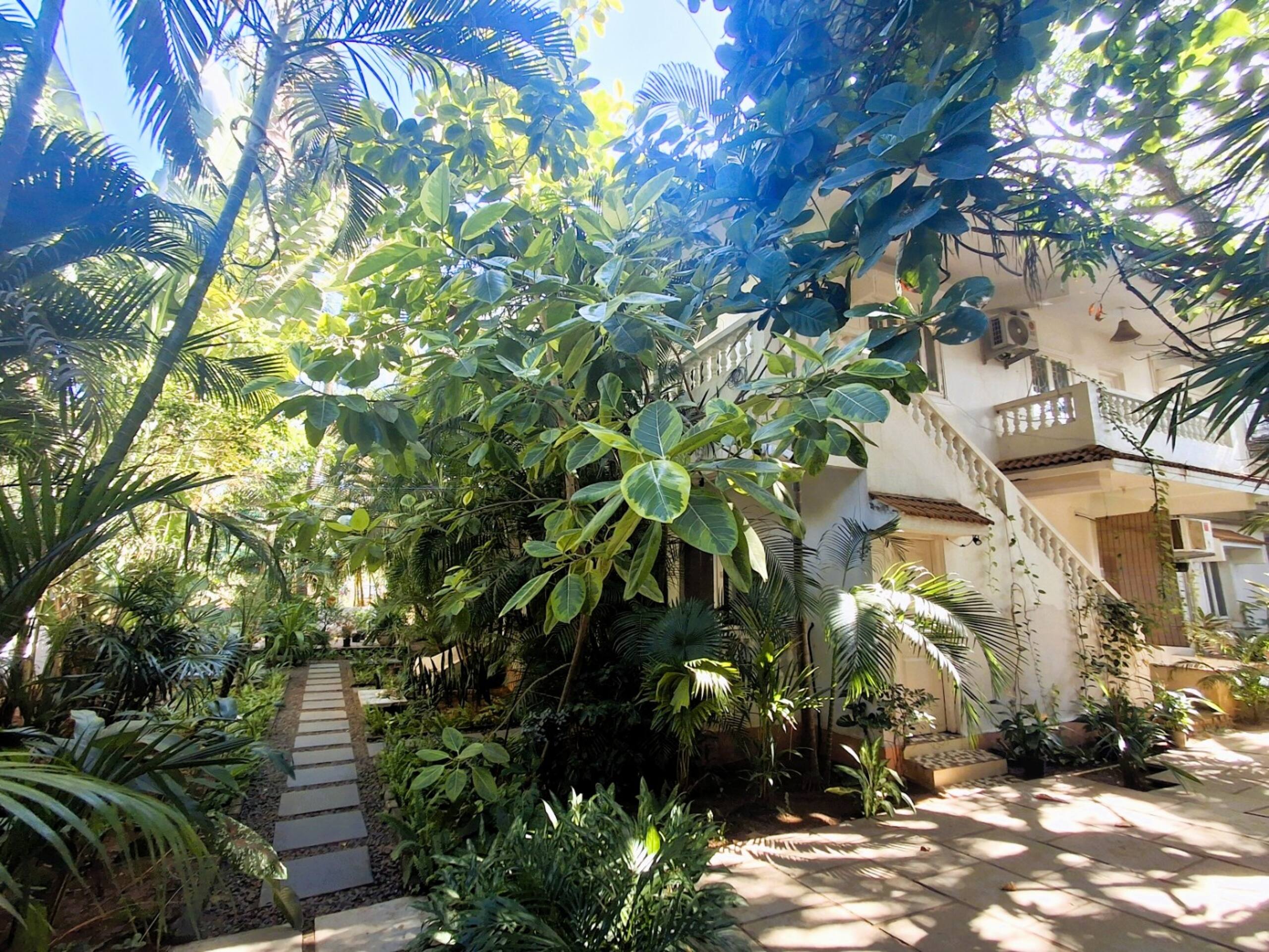 Papaya - tropical retreat steps from the beach! 37