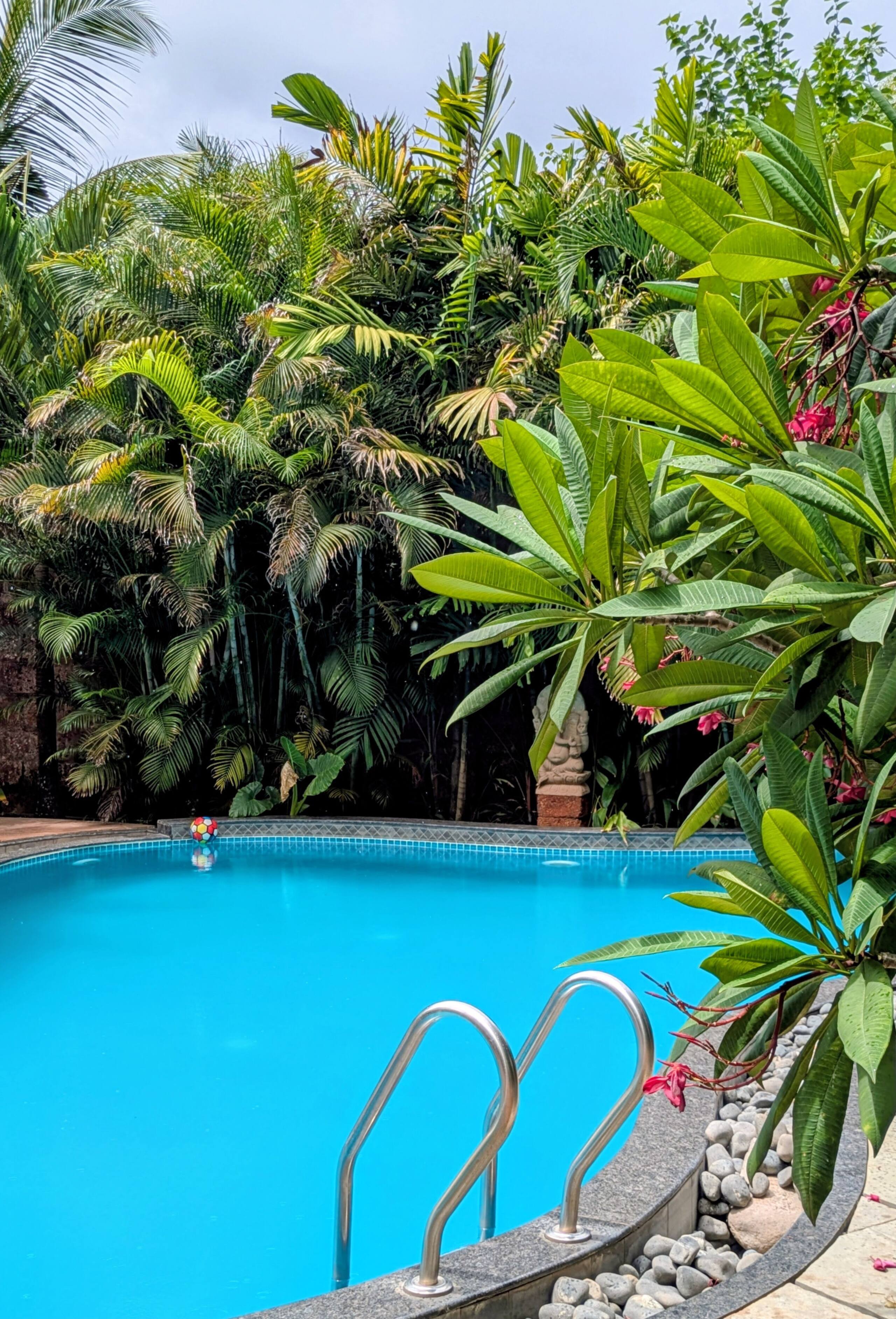 Papaya - tropical retreat steps from the beach! 40