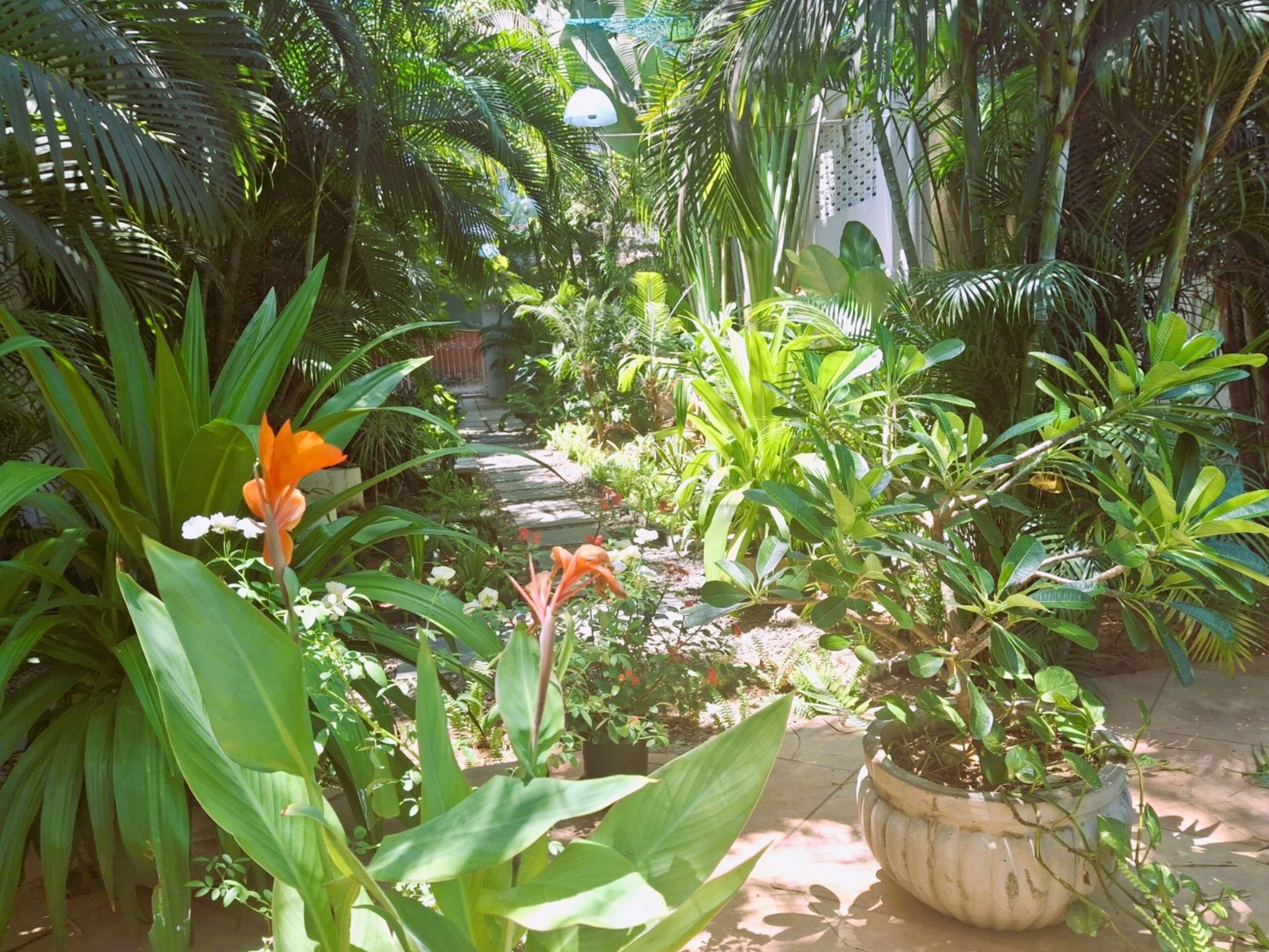Papaya - tropical retreat steps from the beach! 34