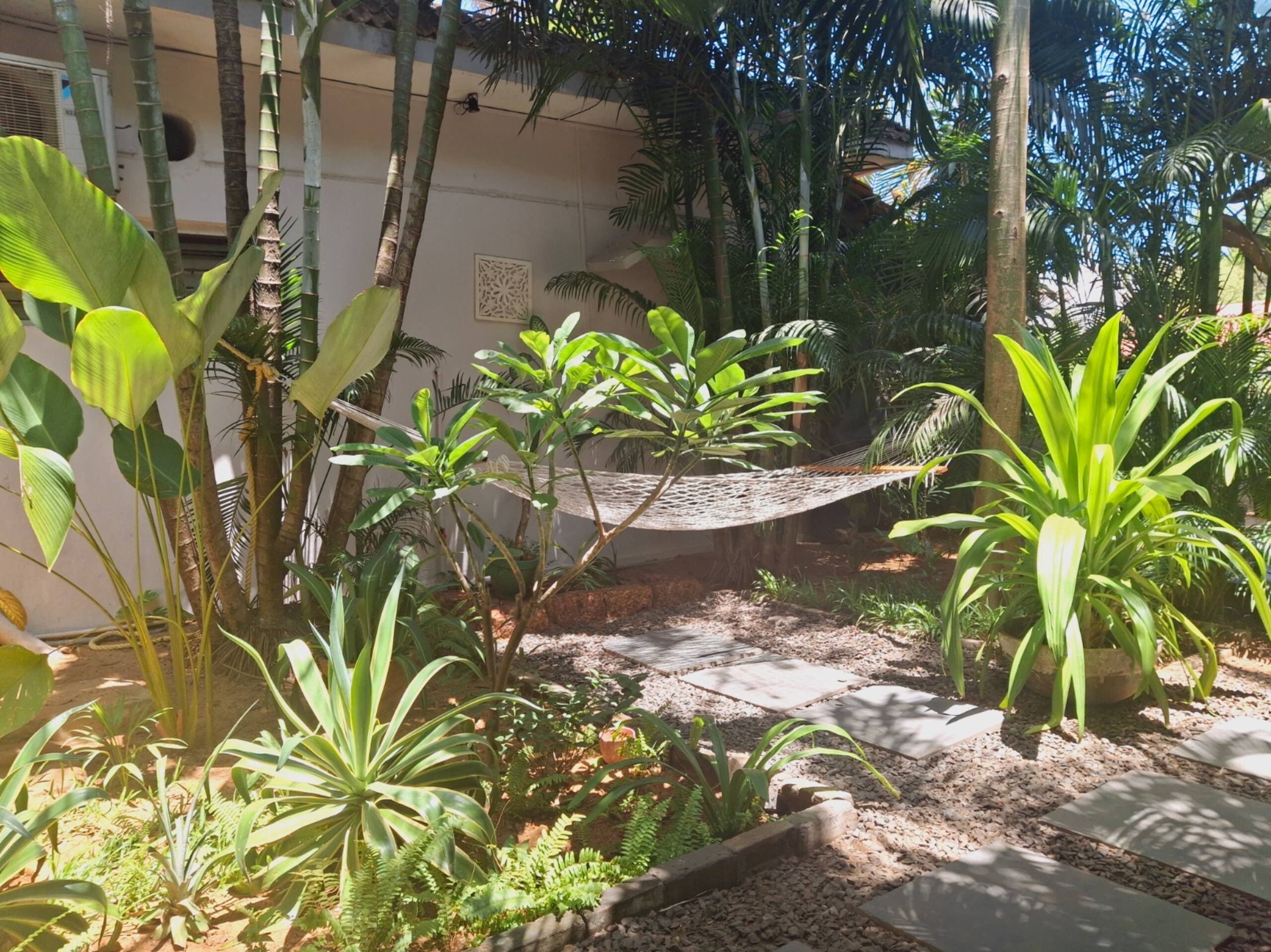Papaya - tropical retreat steps from the beach! 33