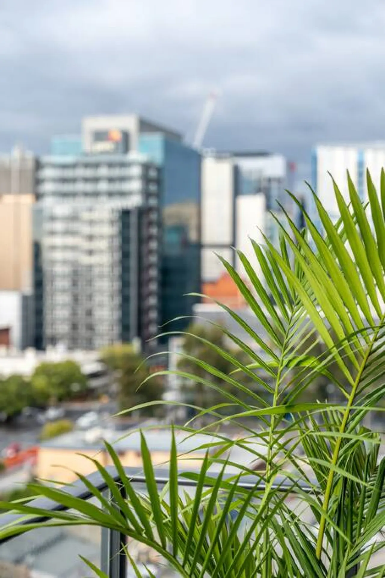 Sky High on Grote: An Elevated Inner-City Stay 13